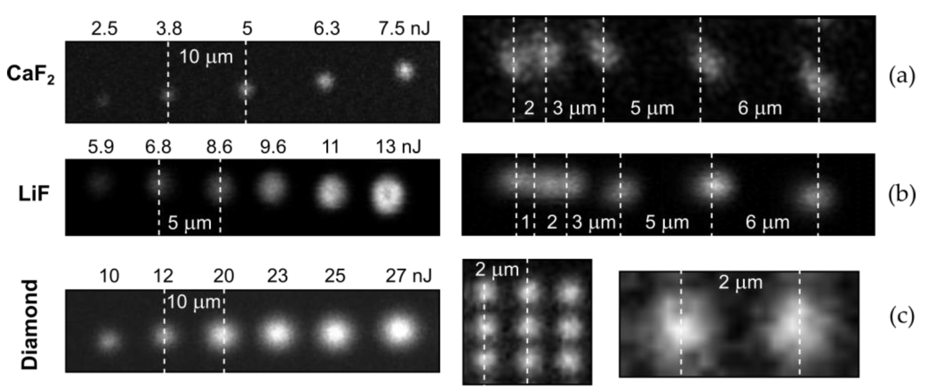 Preprints 73225 g002