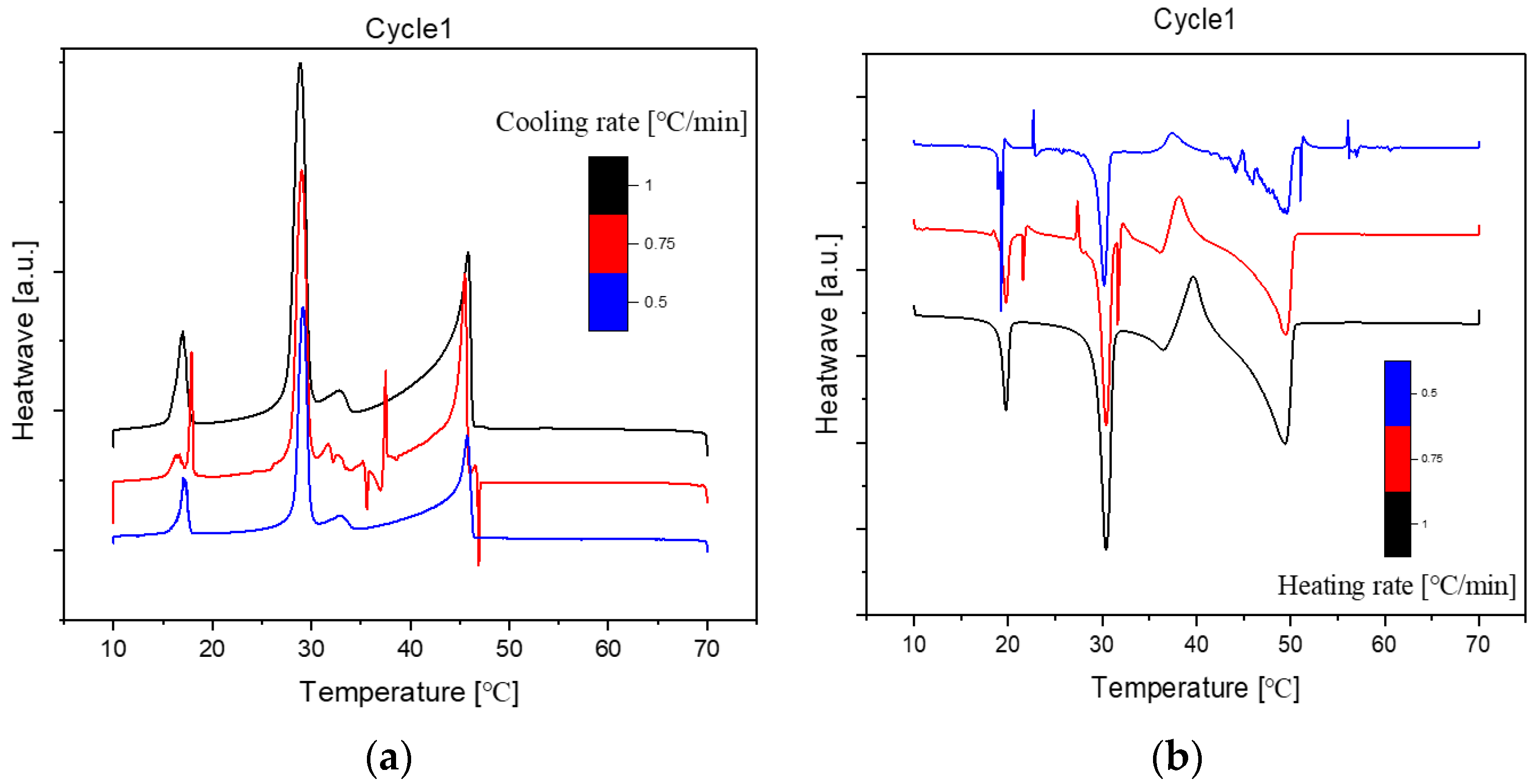 Preprints 91944 g006