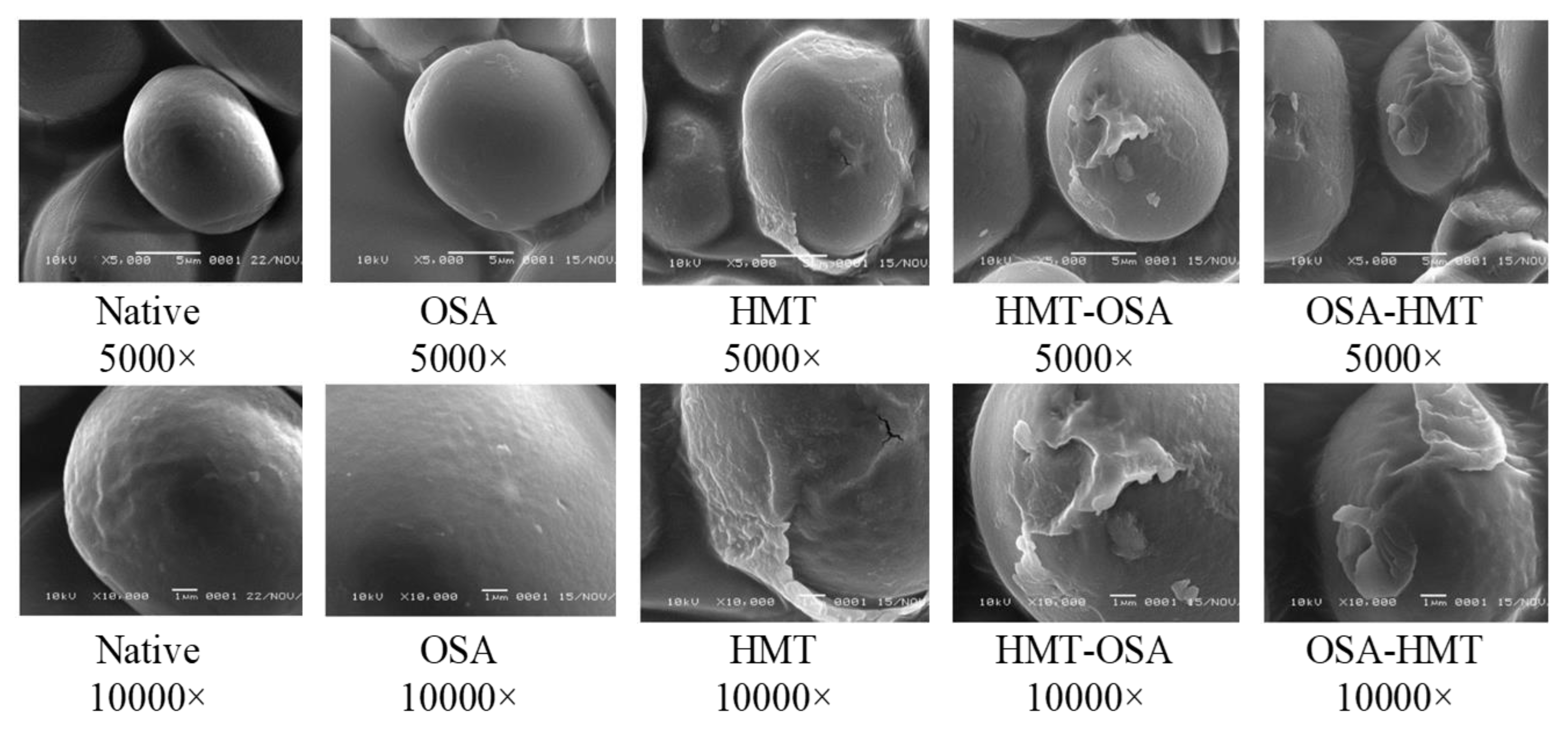 Preprints 76494 g001