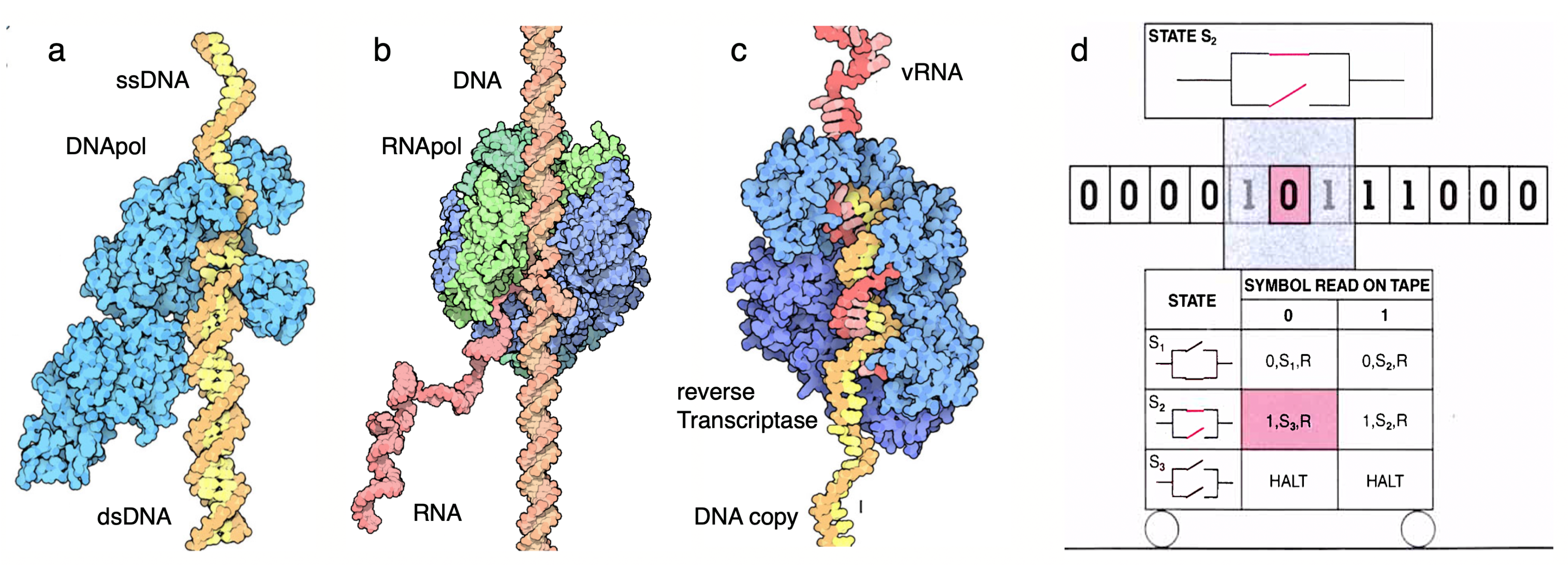 Preprints 109143 g002