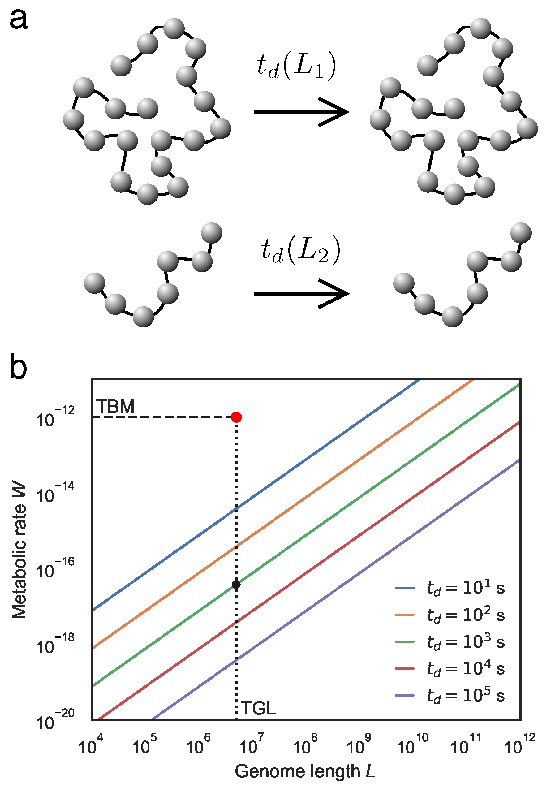 Preprints 109143 g003