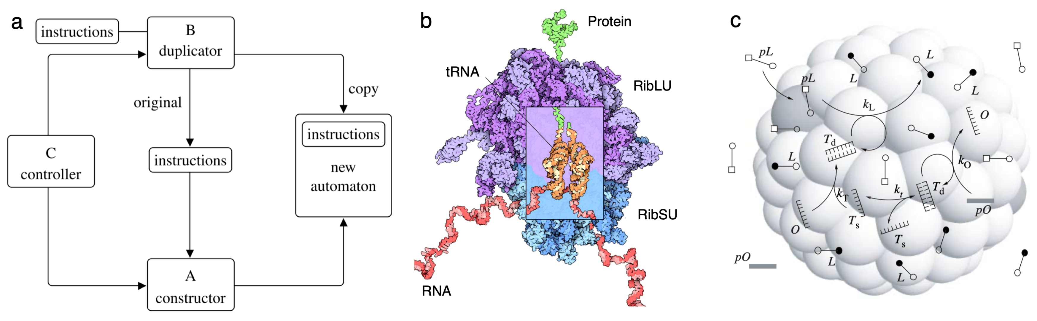 Preprints 109143 g004