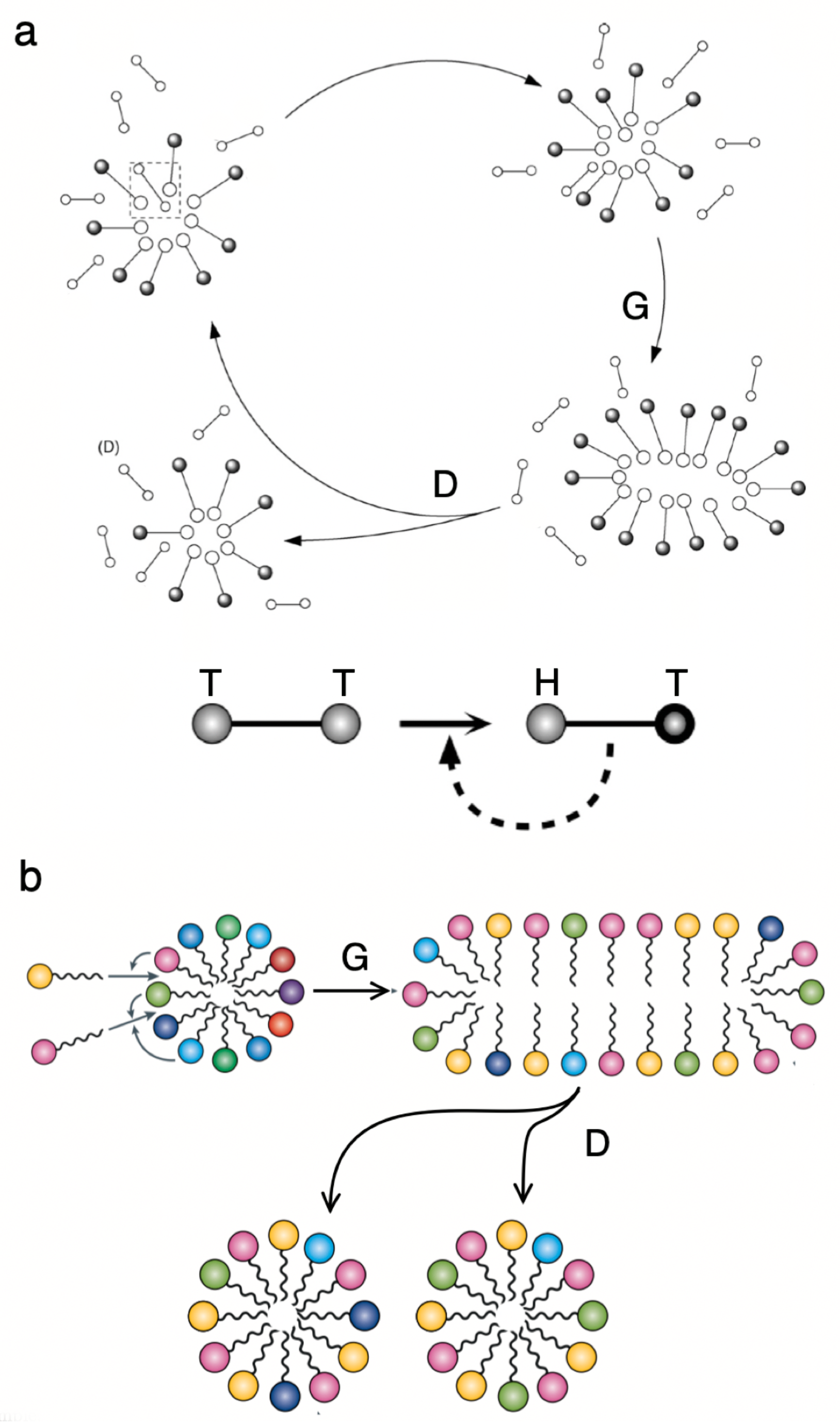 Preprints 109143 g005