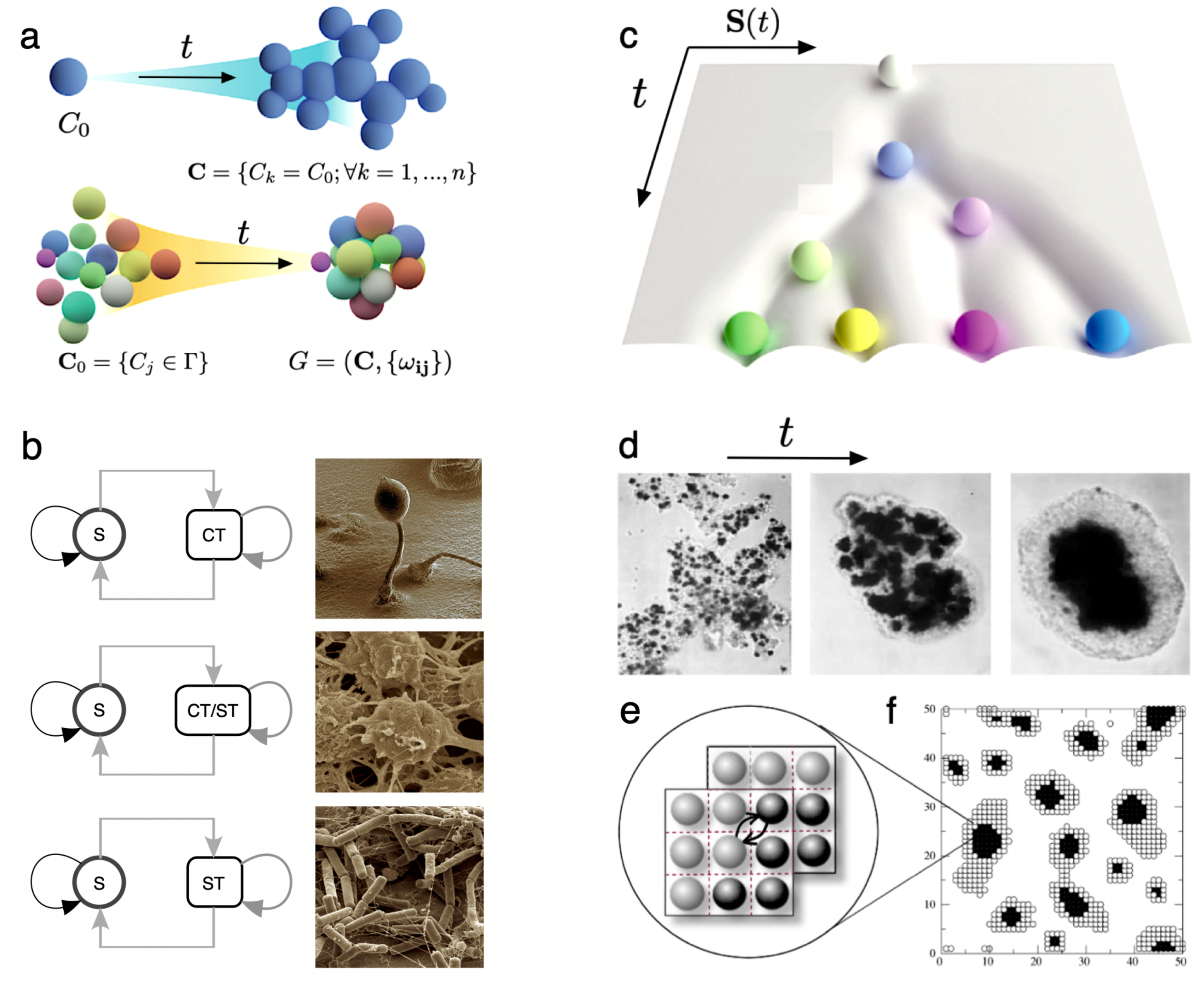 Preprints 109143 g006