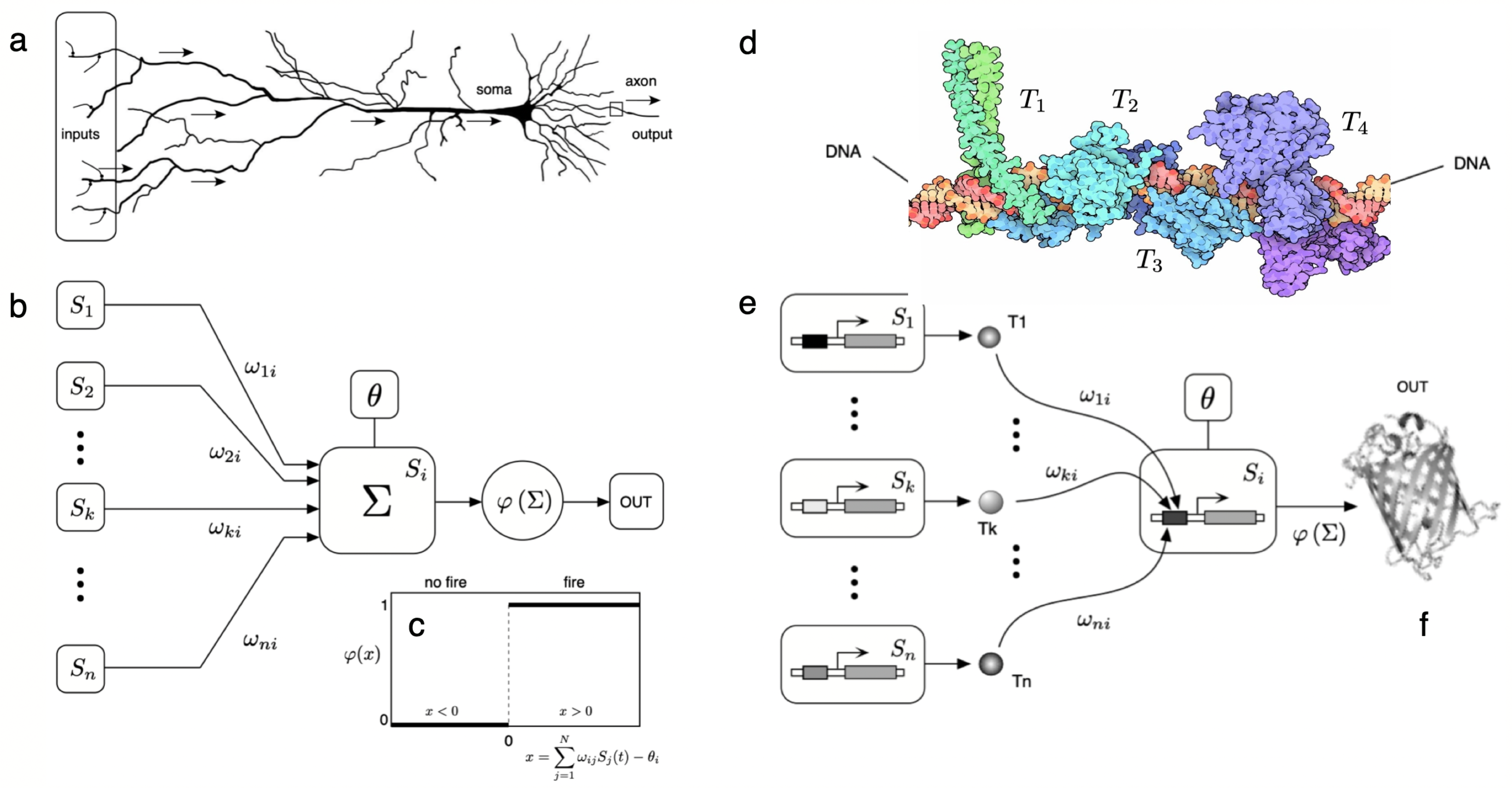 Preprints 109143 g007