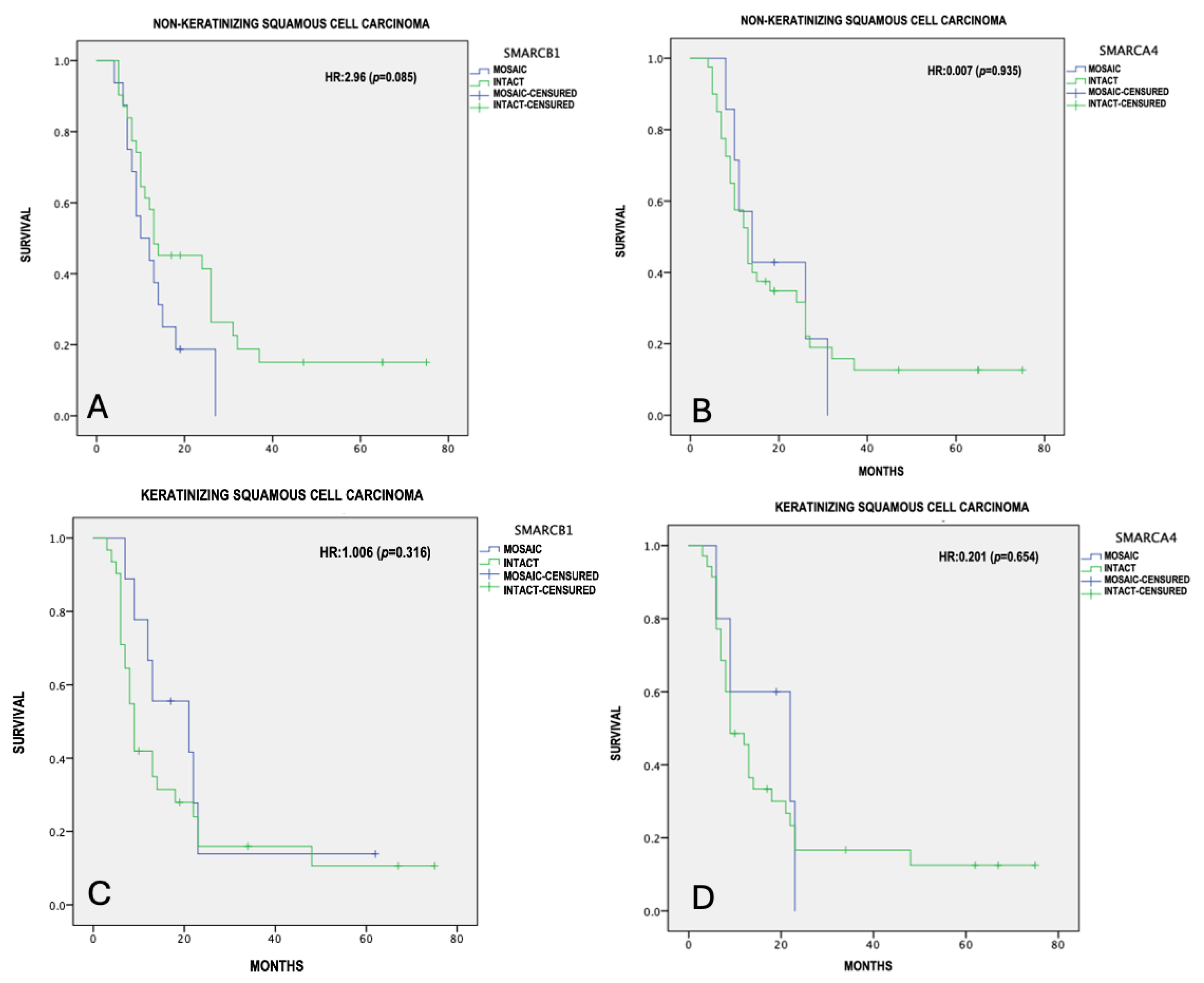 Preprints 116512 g003