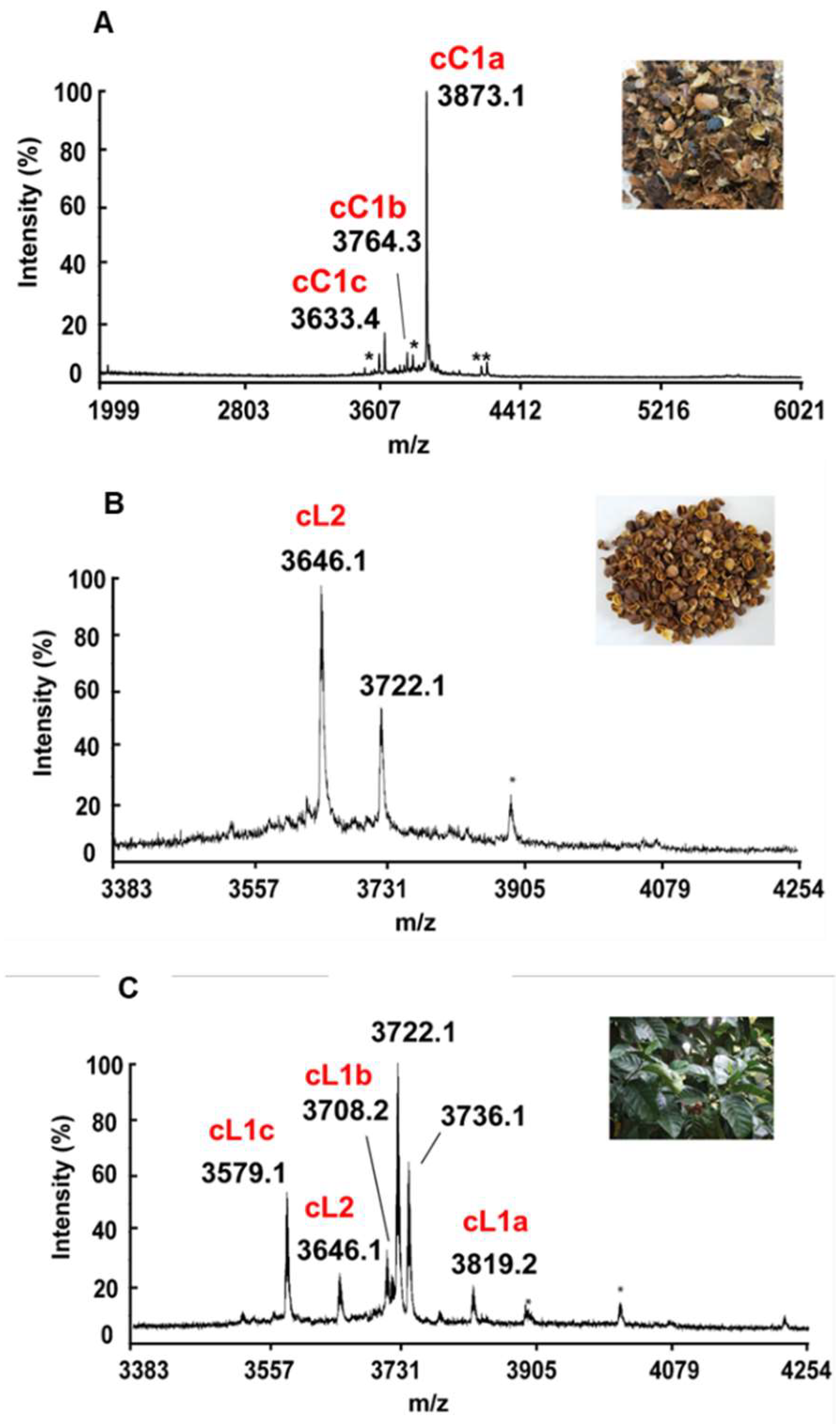 Preprints 82830 g001