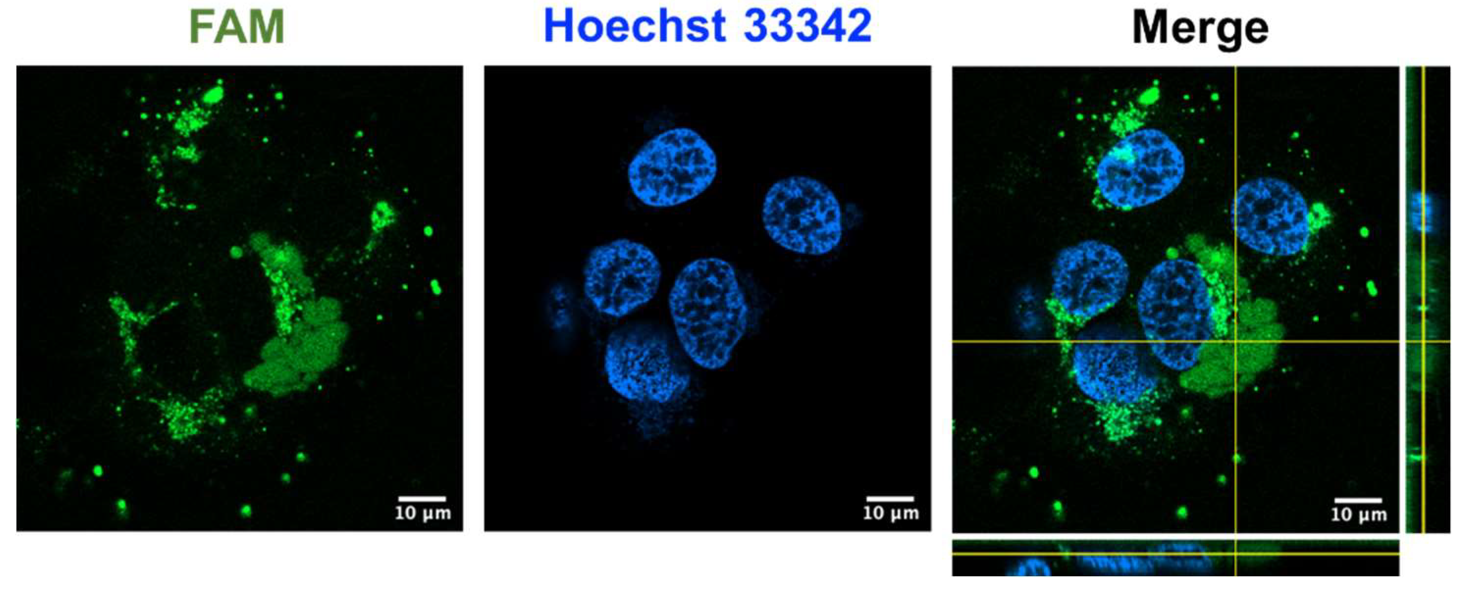 Preprints 82830 g008