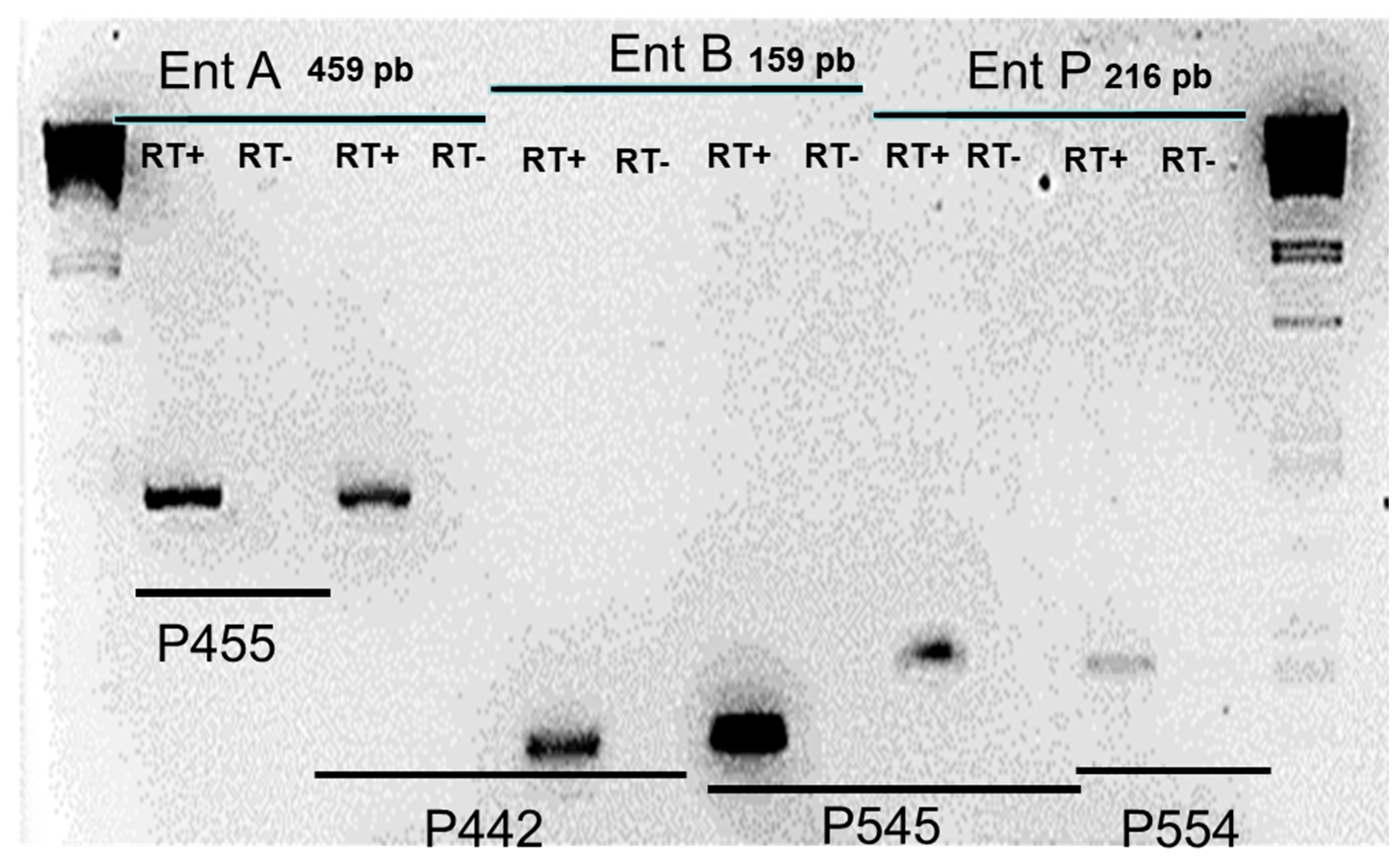 Preprints 85896 g001