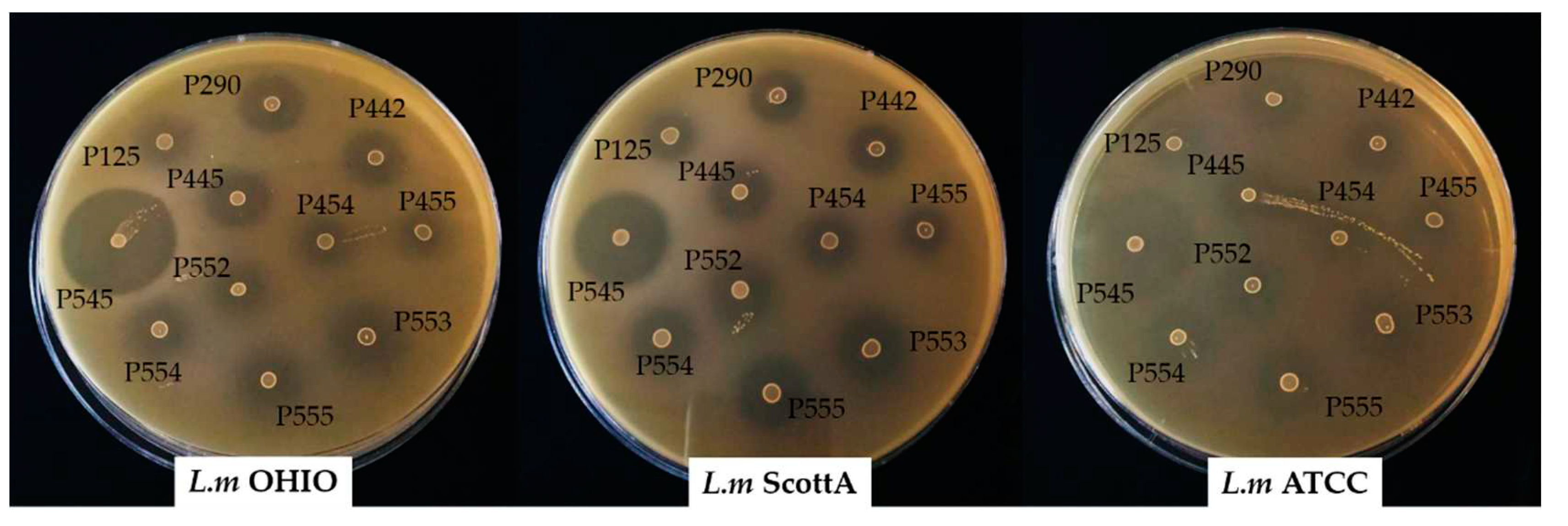 Preprints 85896 g002