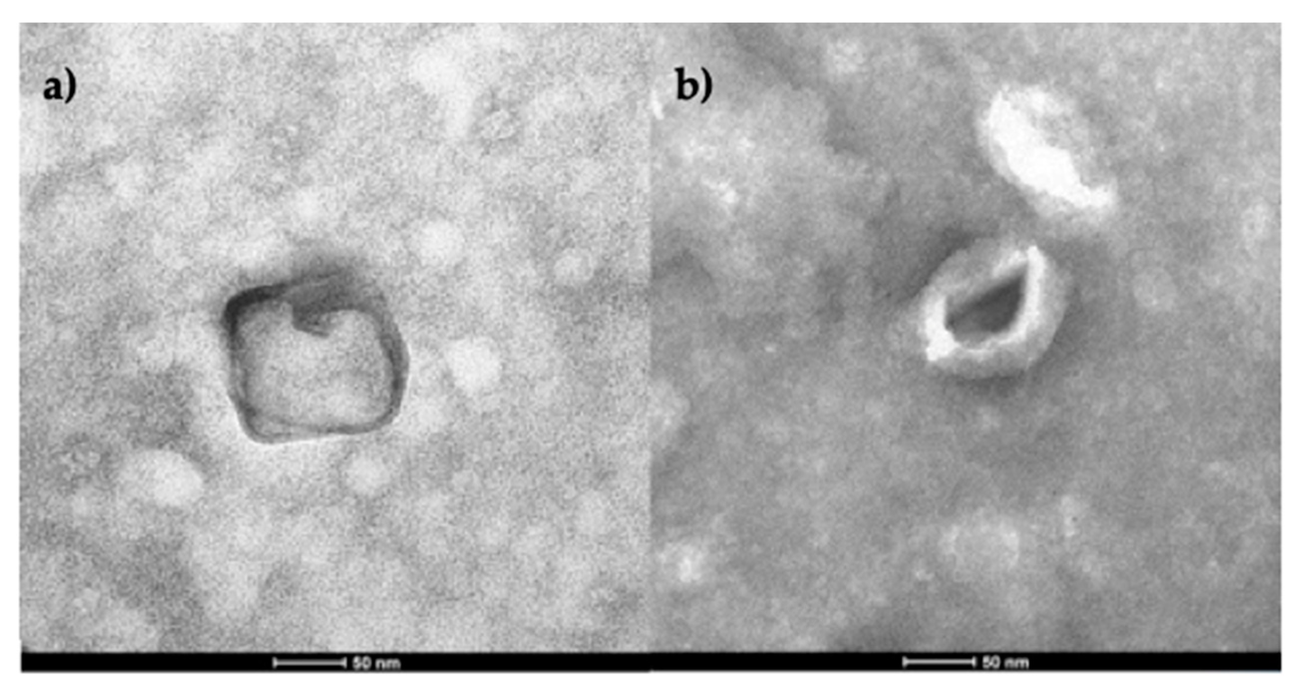 Preprints 105896 g005