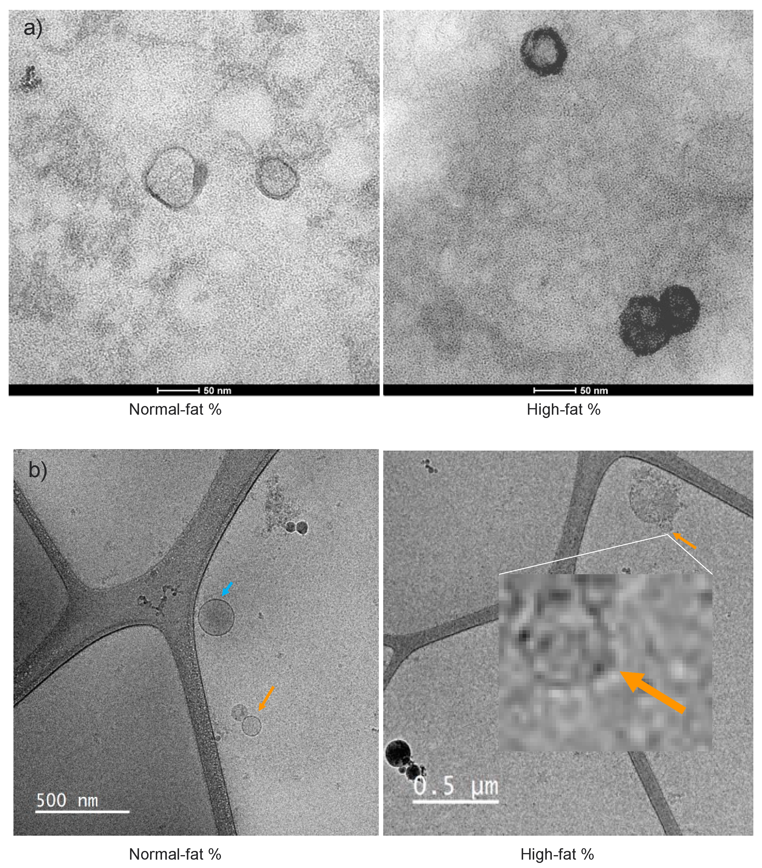 Preprints 105896 g006