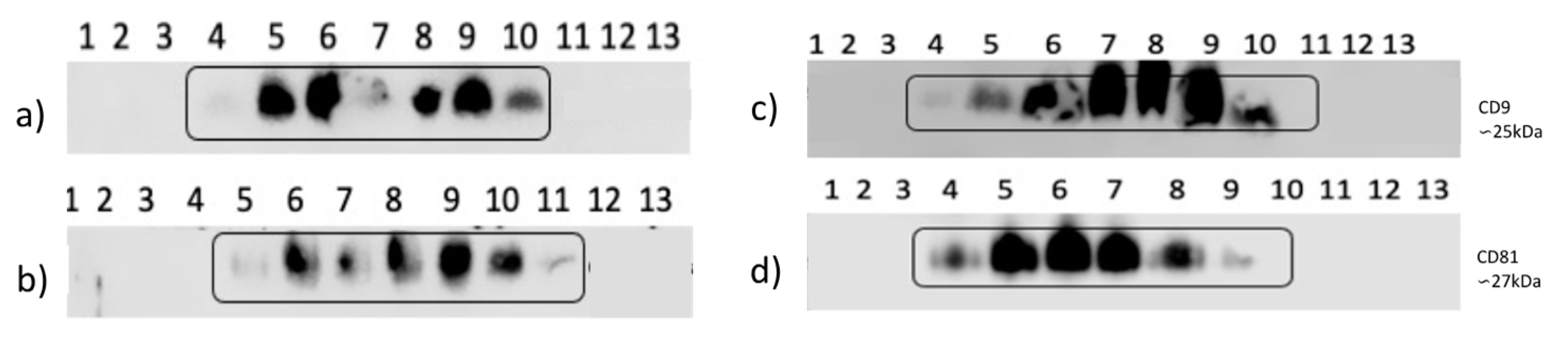 Preprints 105896 g007