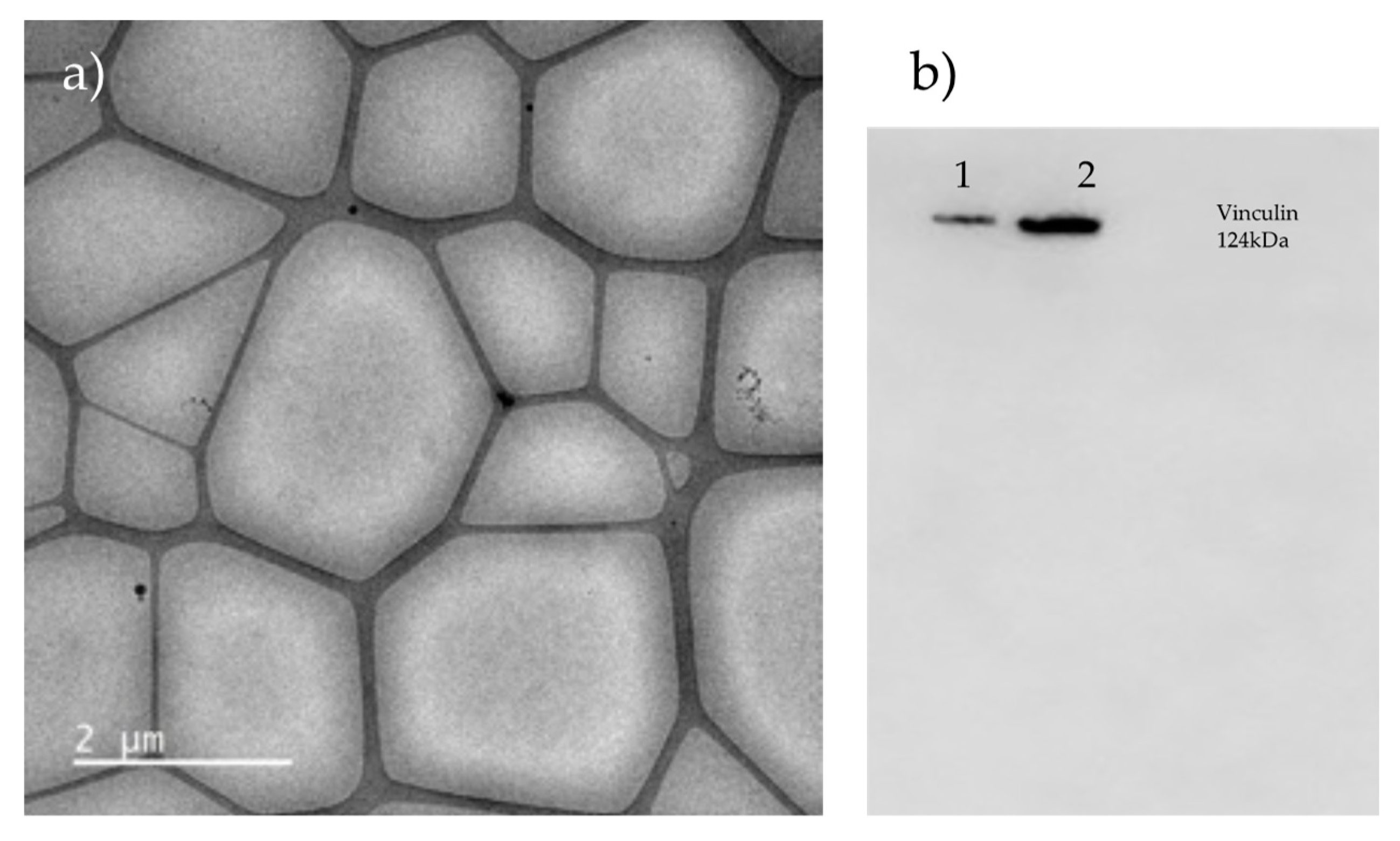 Preprints 105896 g0a1