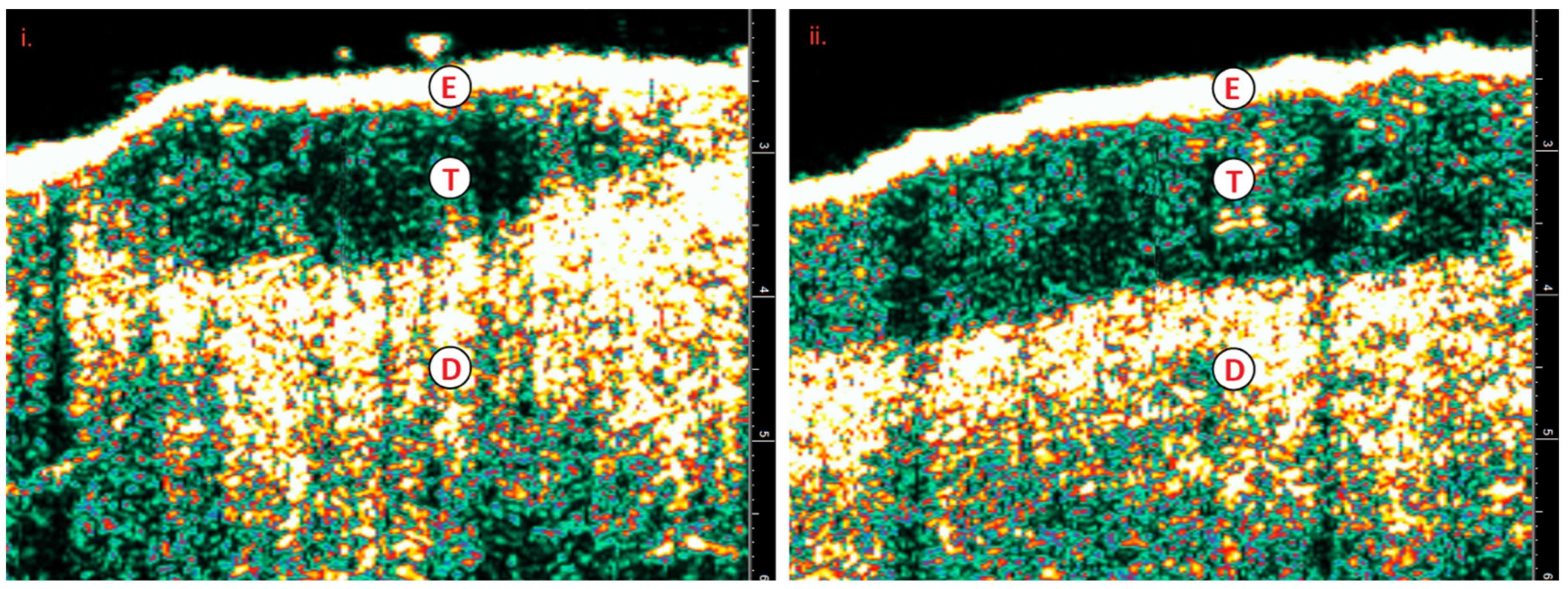 Preprints 114861 g003