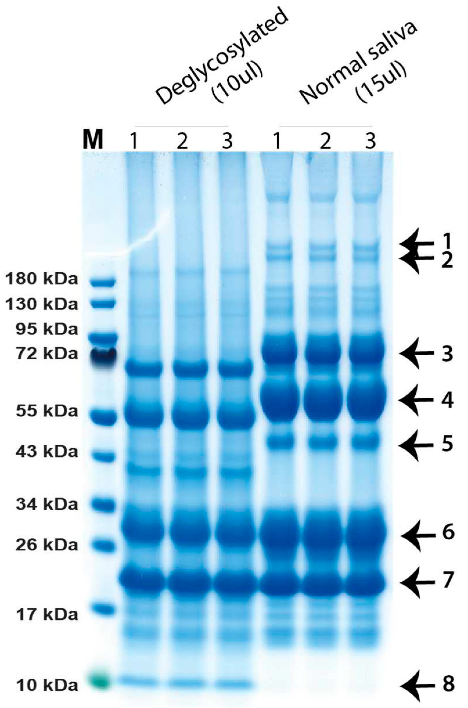 Preprints 85245 g001