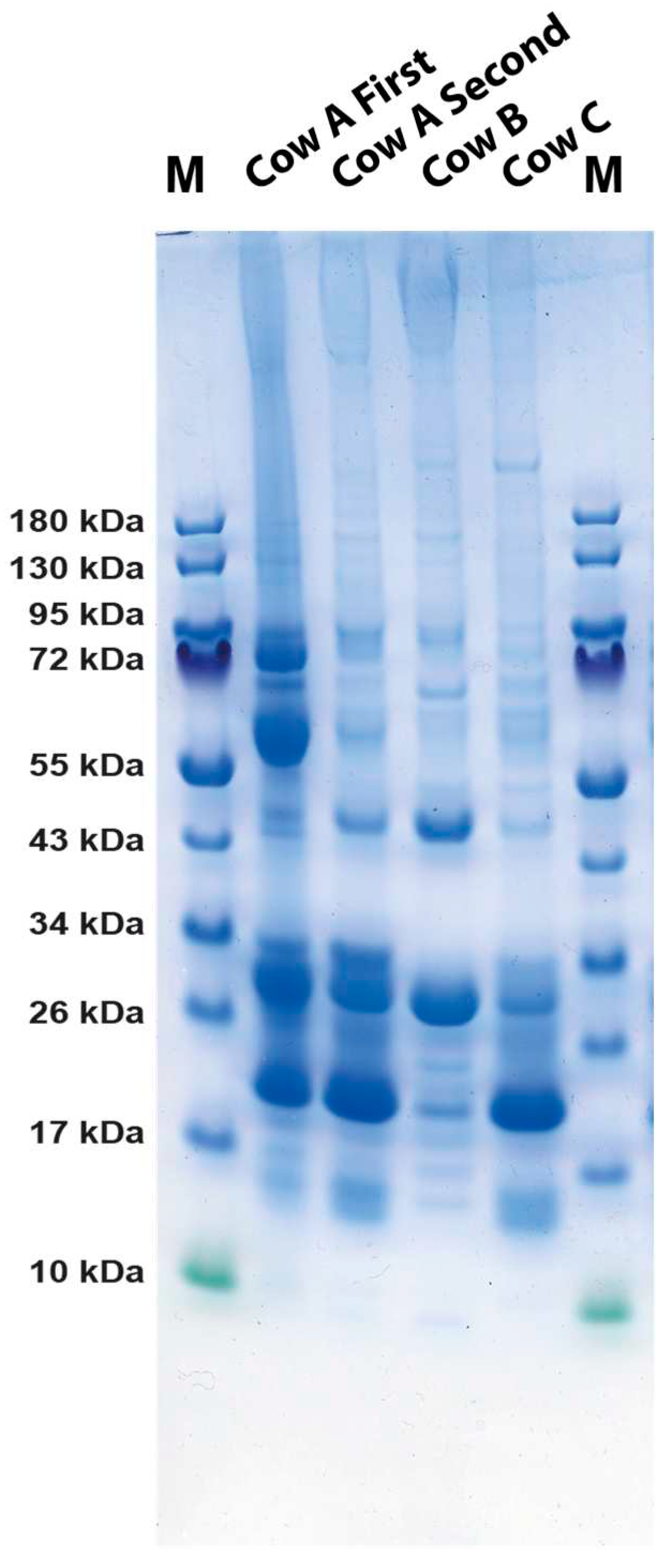 Preprints 85245 g002