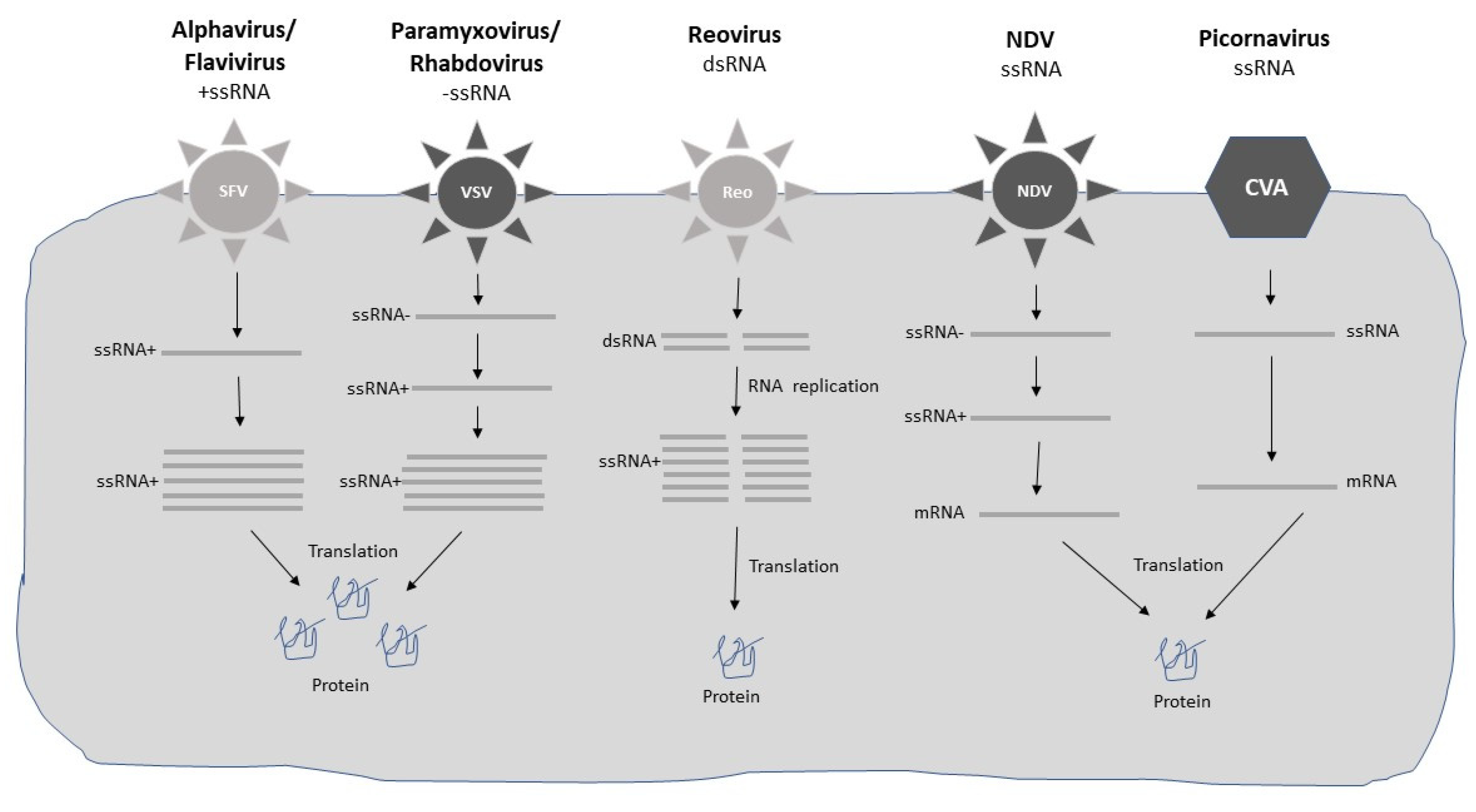 Preprints 71499 g002