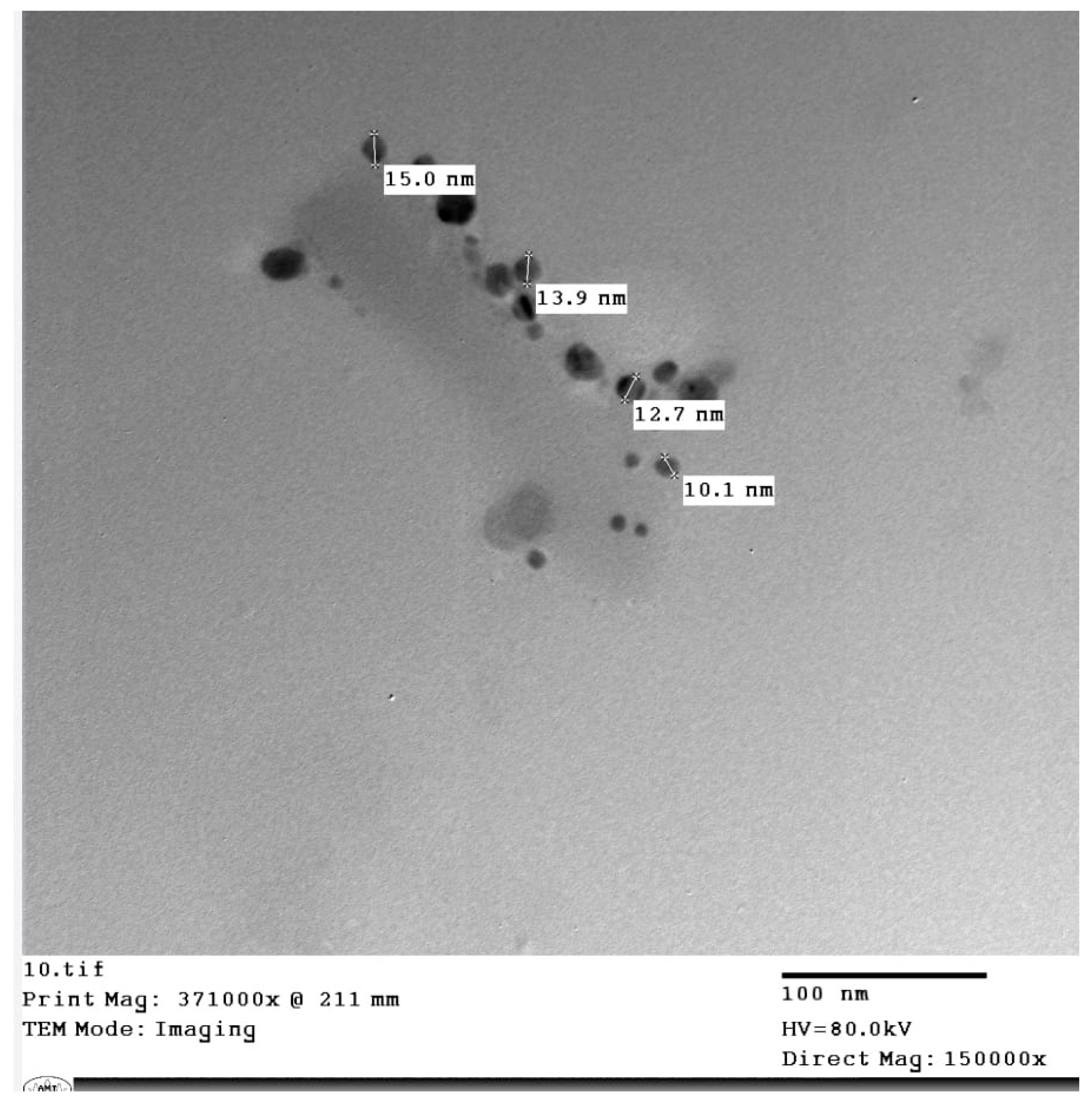 Preprints 80967 g002