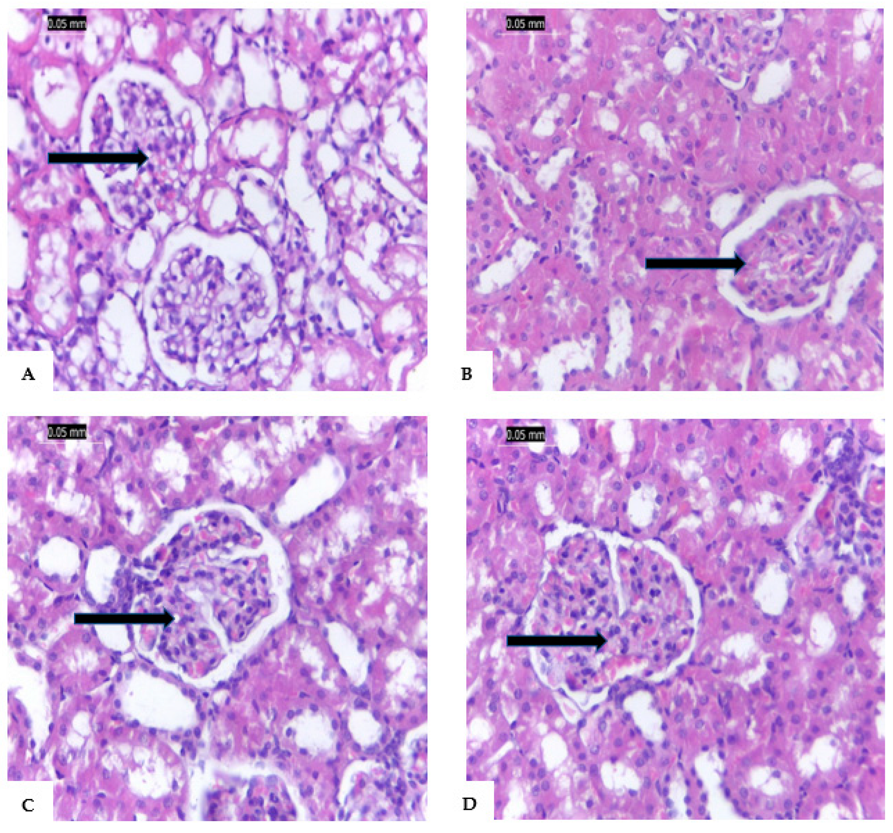 Preprints 80967 g004