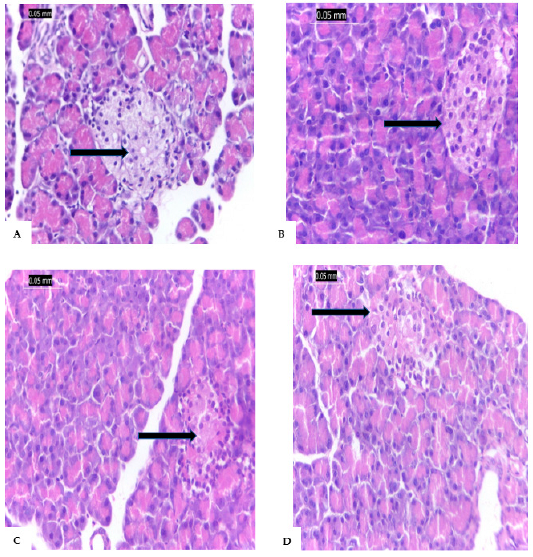 Preprints 80967 g005