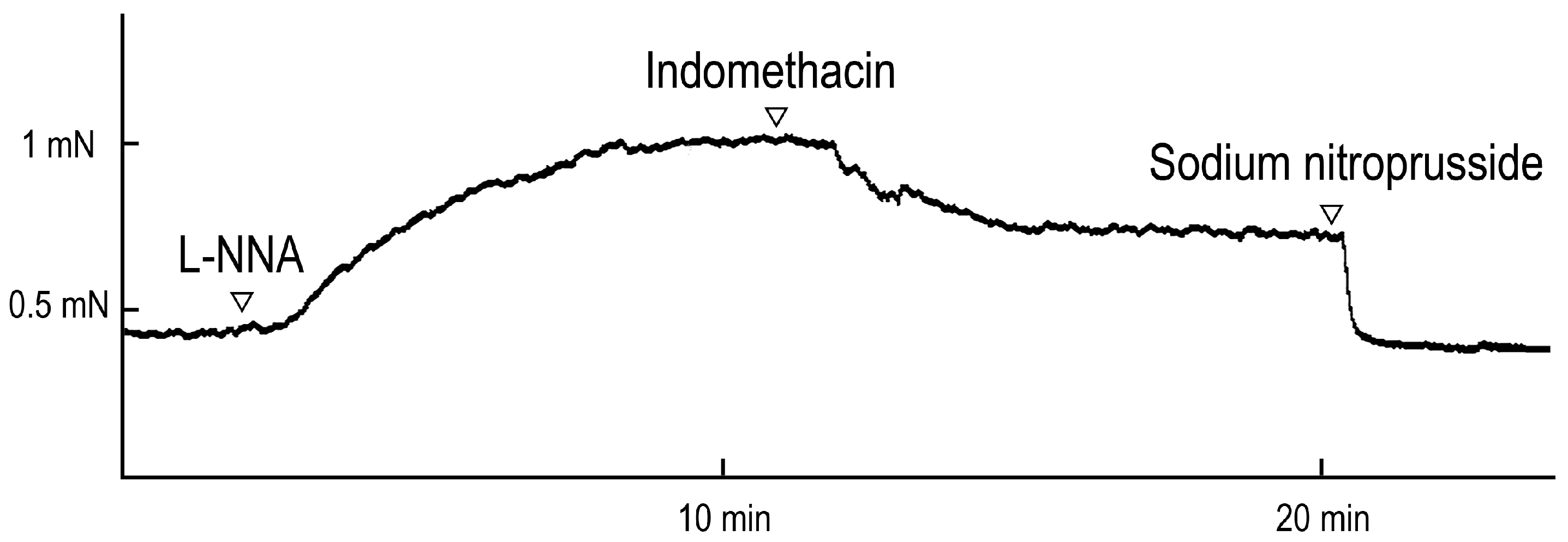 Preprints 81392 g001