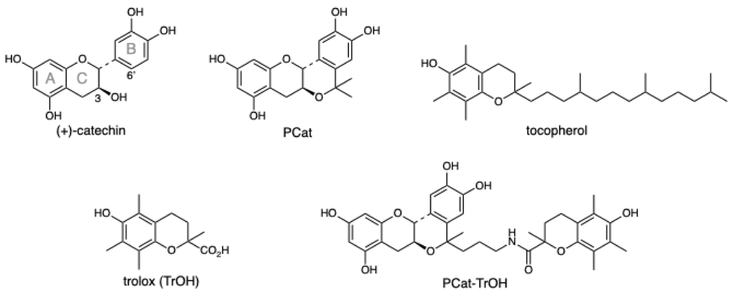 Preprints 116007 g001