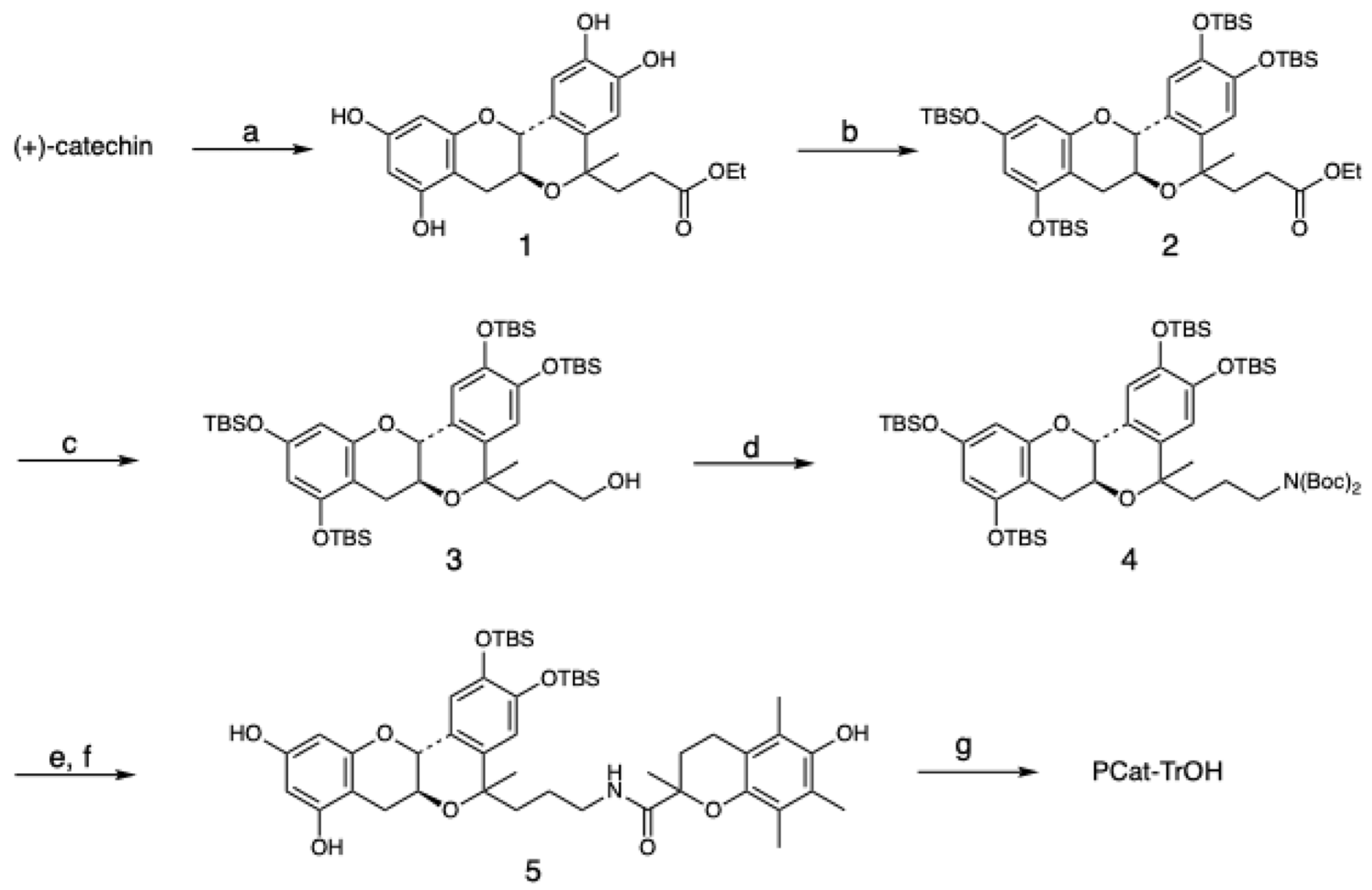 Preprints 116007 g002