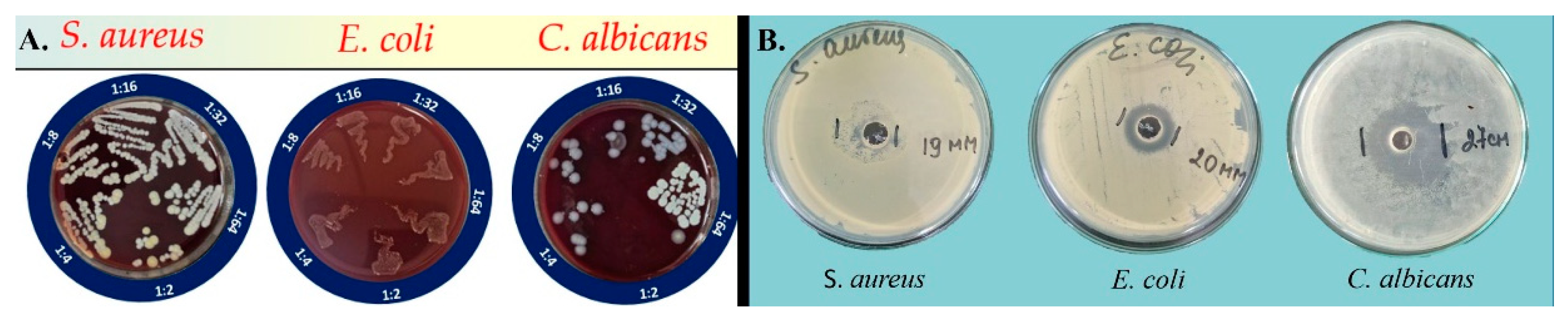 Preprints 115743 g012