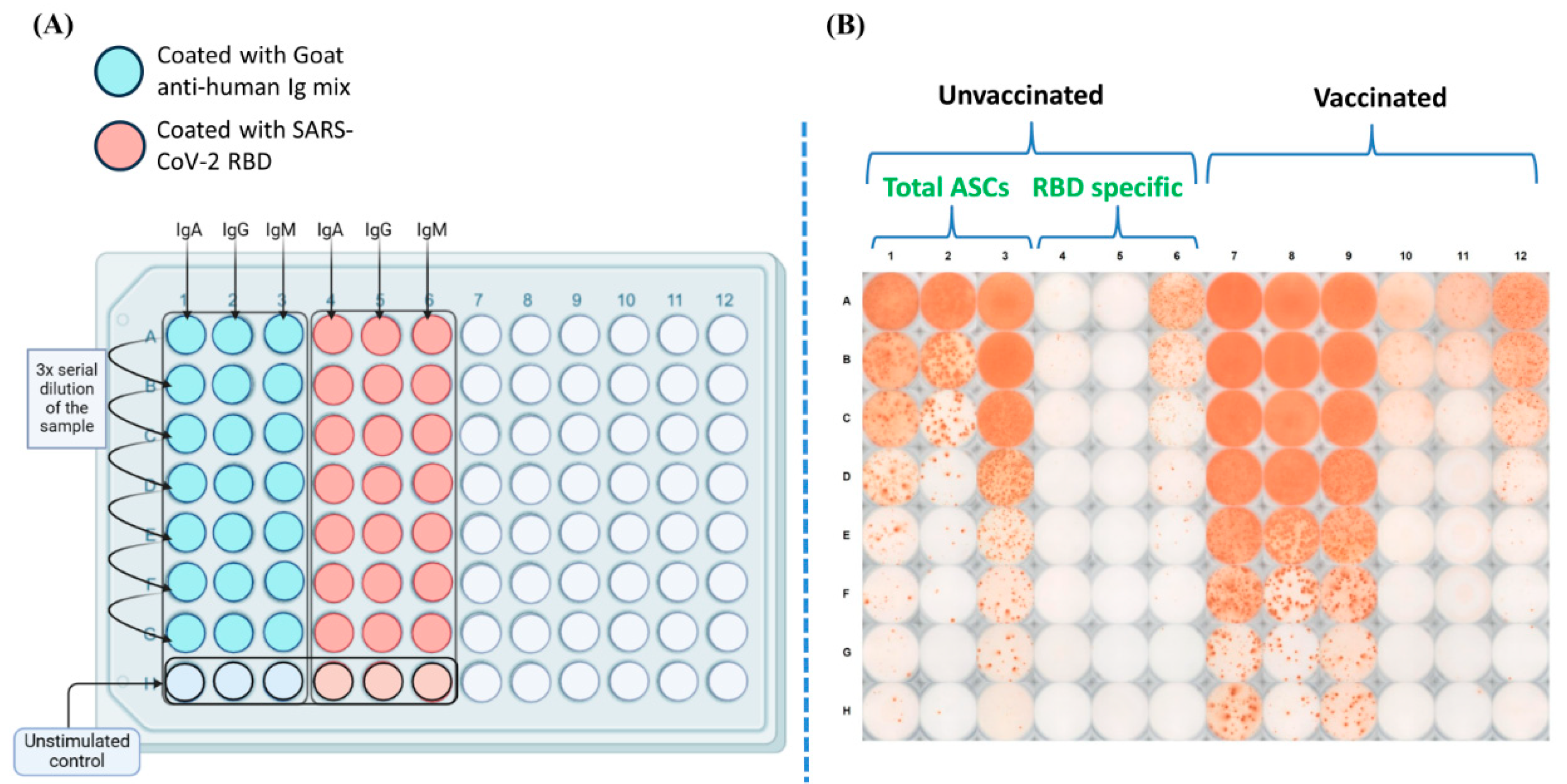 Preprints 119593 g003