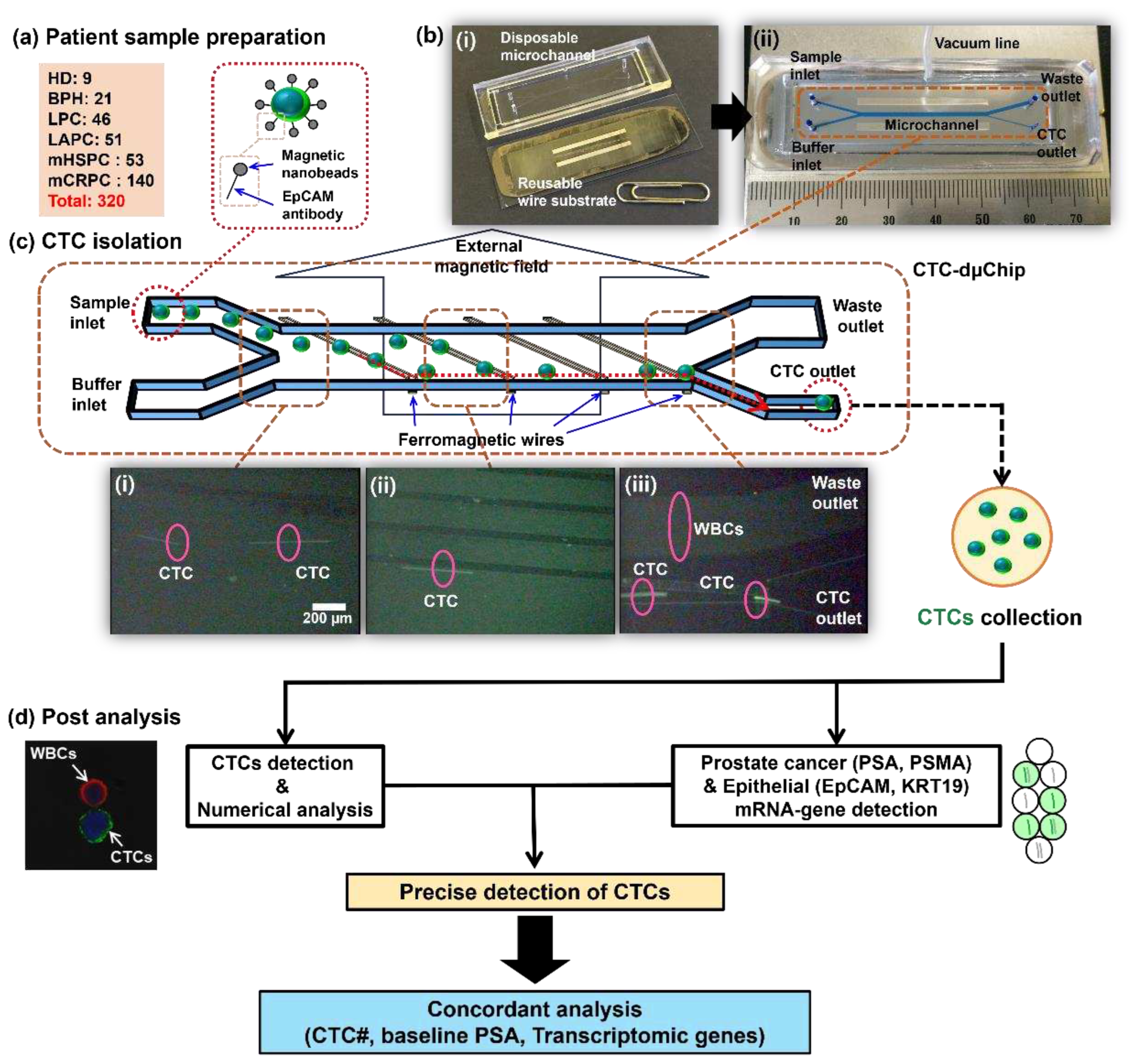 Preprints 88831 g001