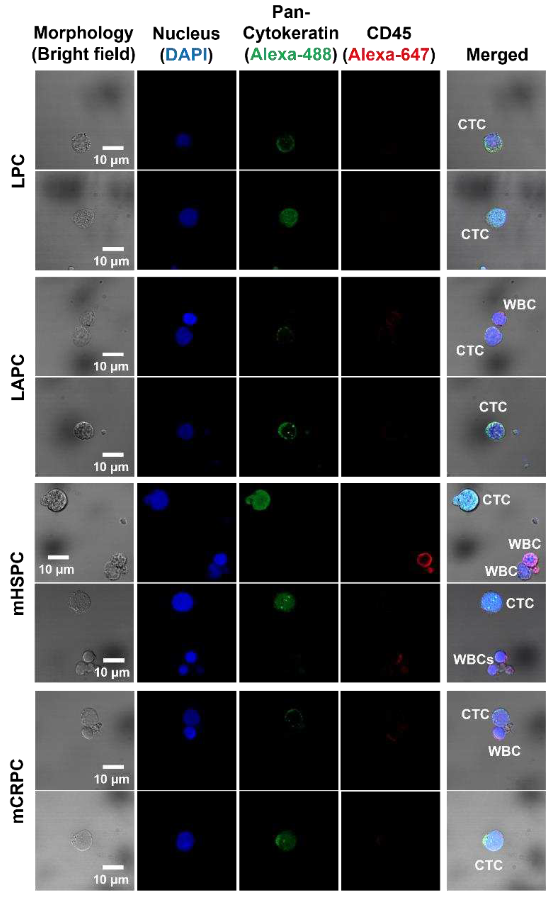 Preprints 88831 g002