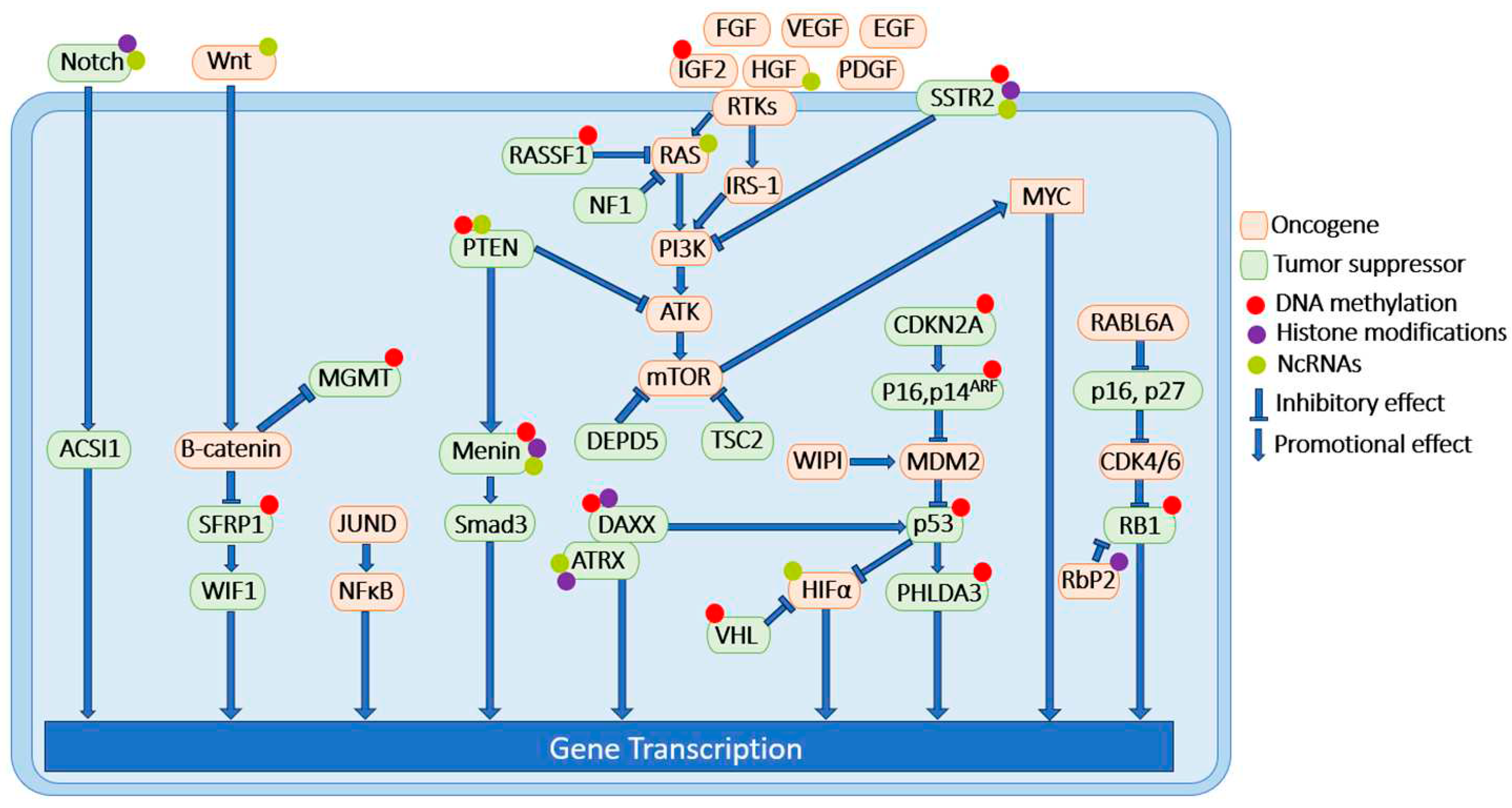 Preprints 94227 g001