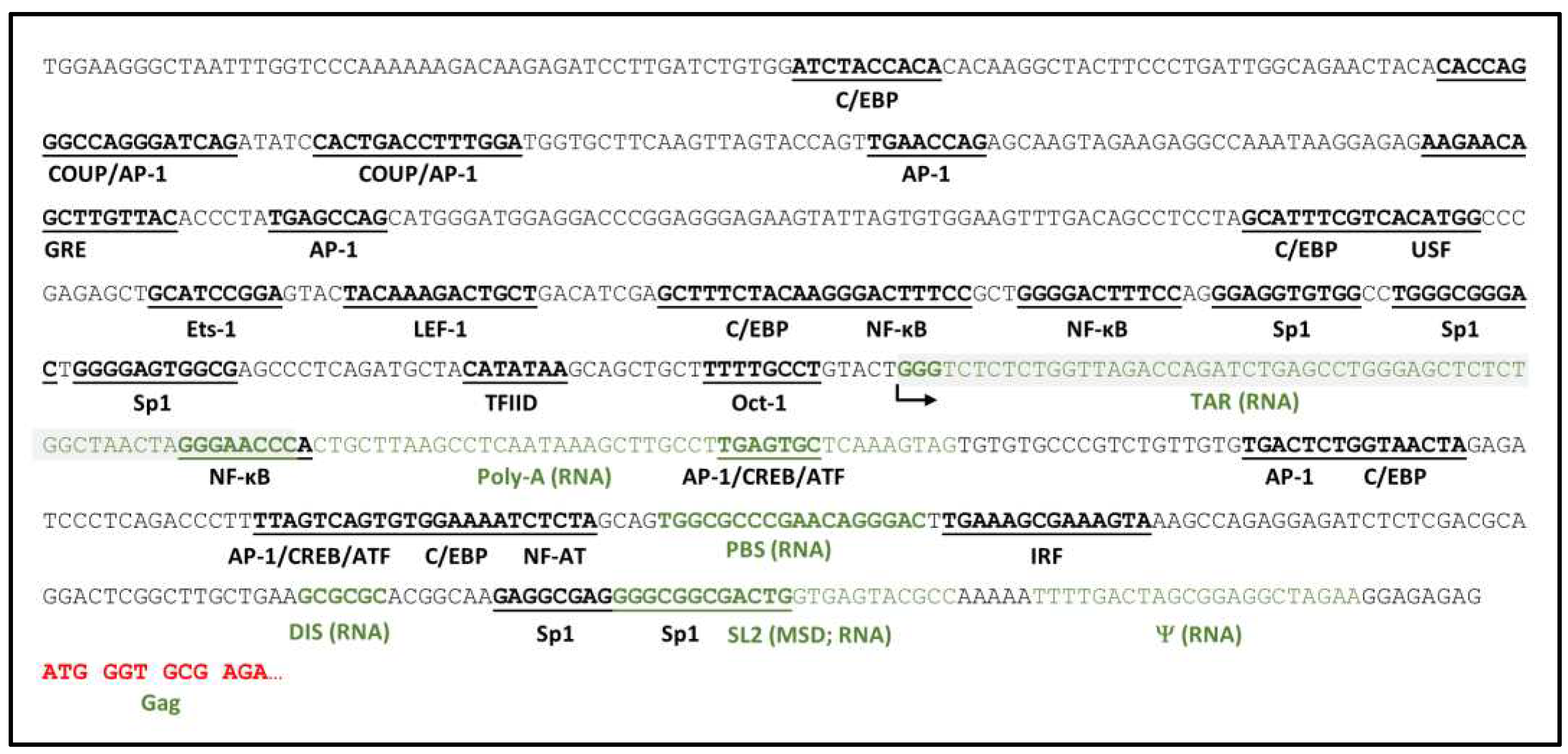 Preprints 93311 g001