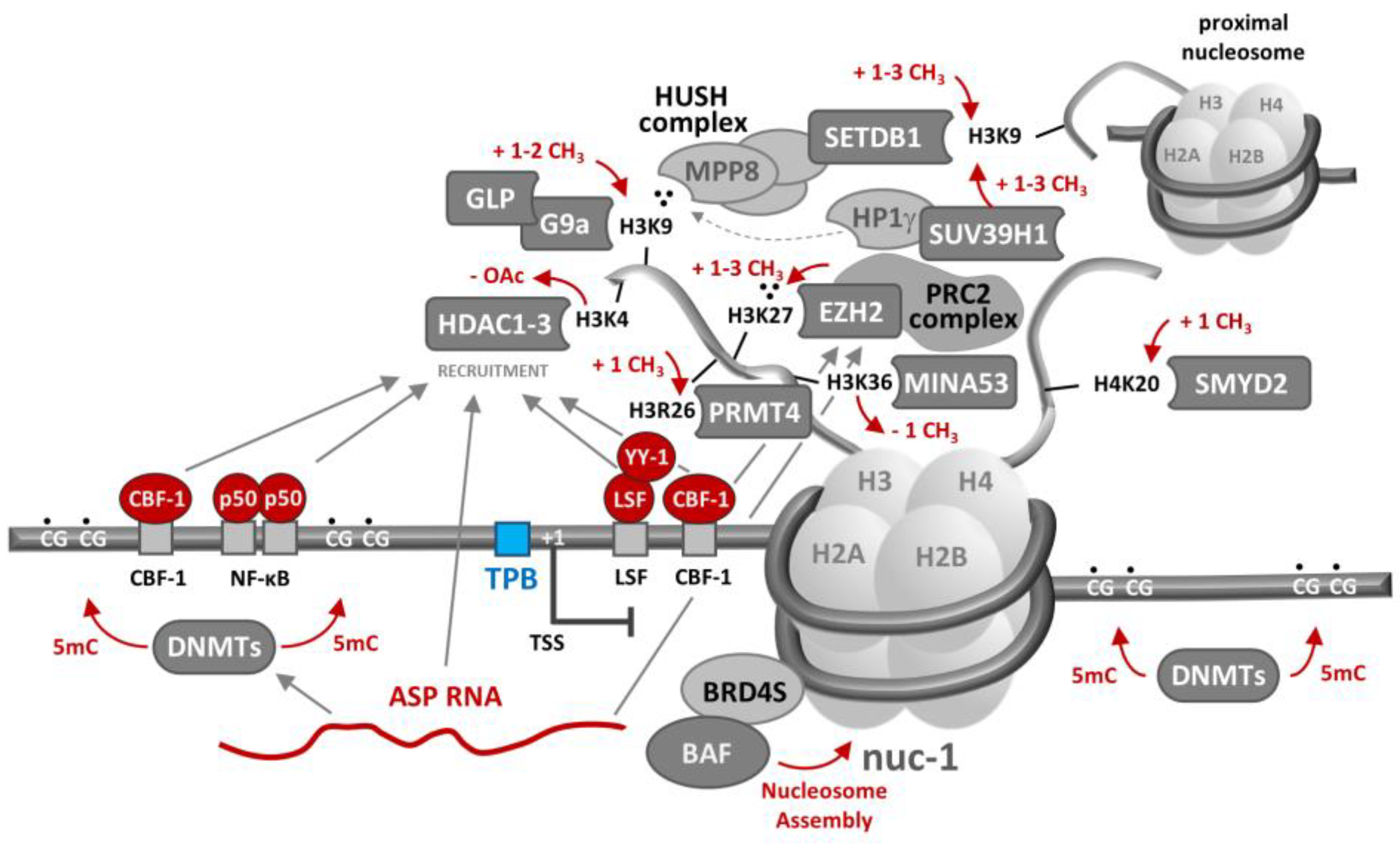 Preprints 93311 g002