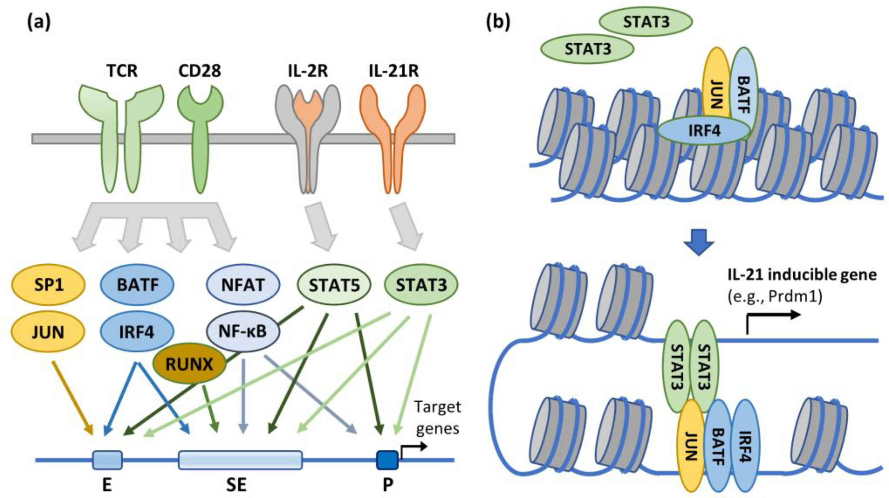 Preprints 93311 g003