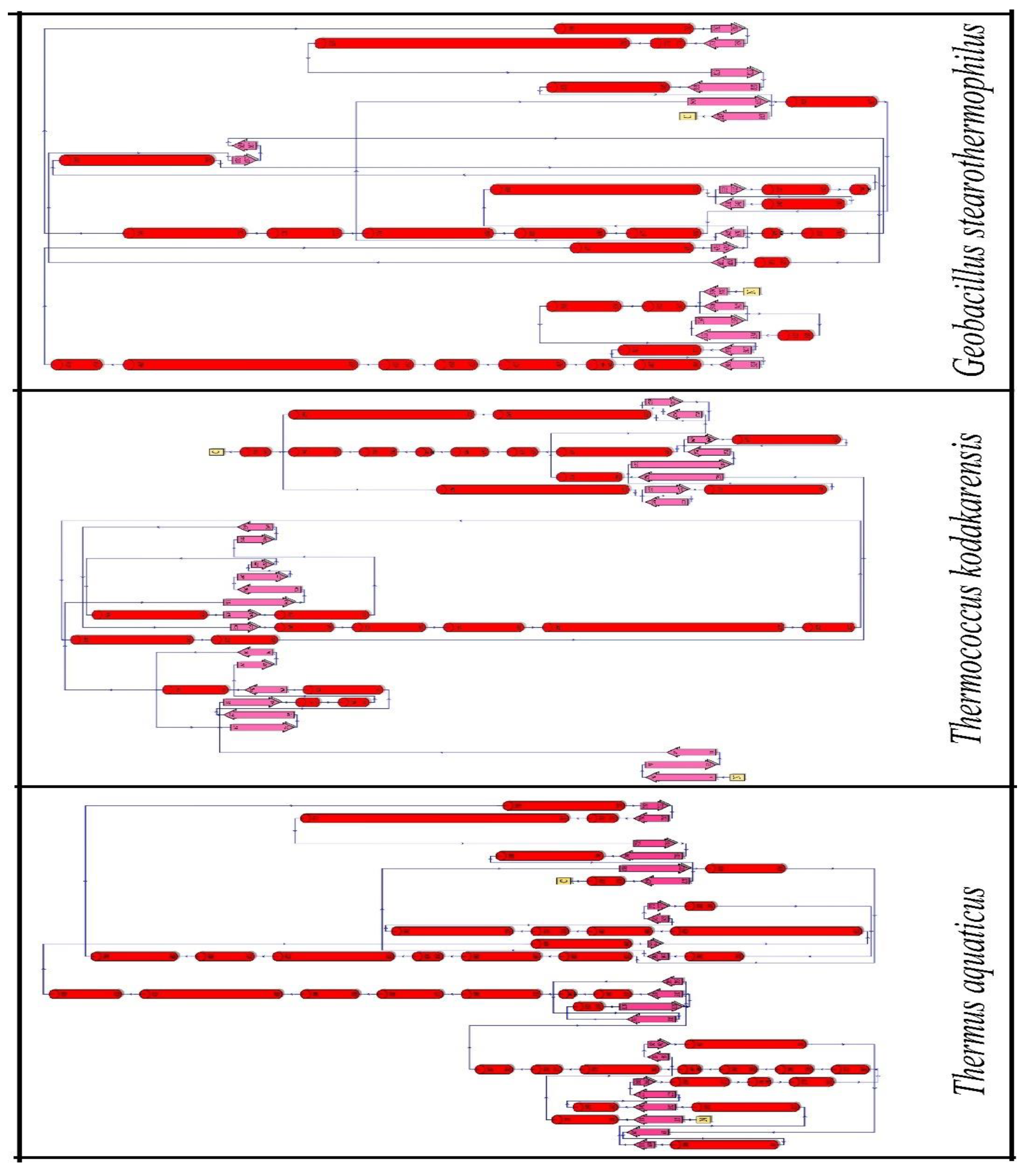 Preprints 77698 g003