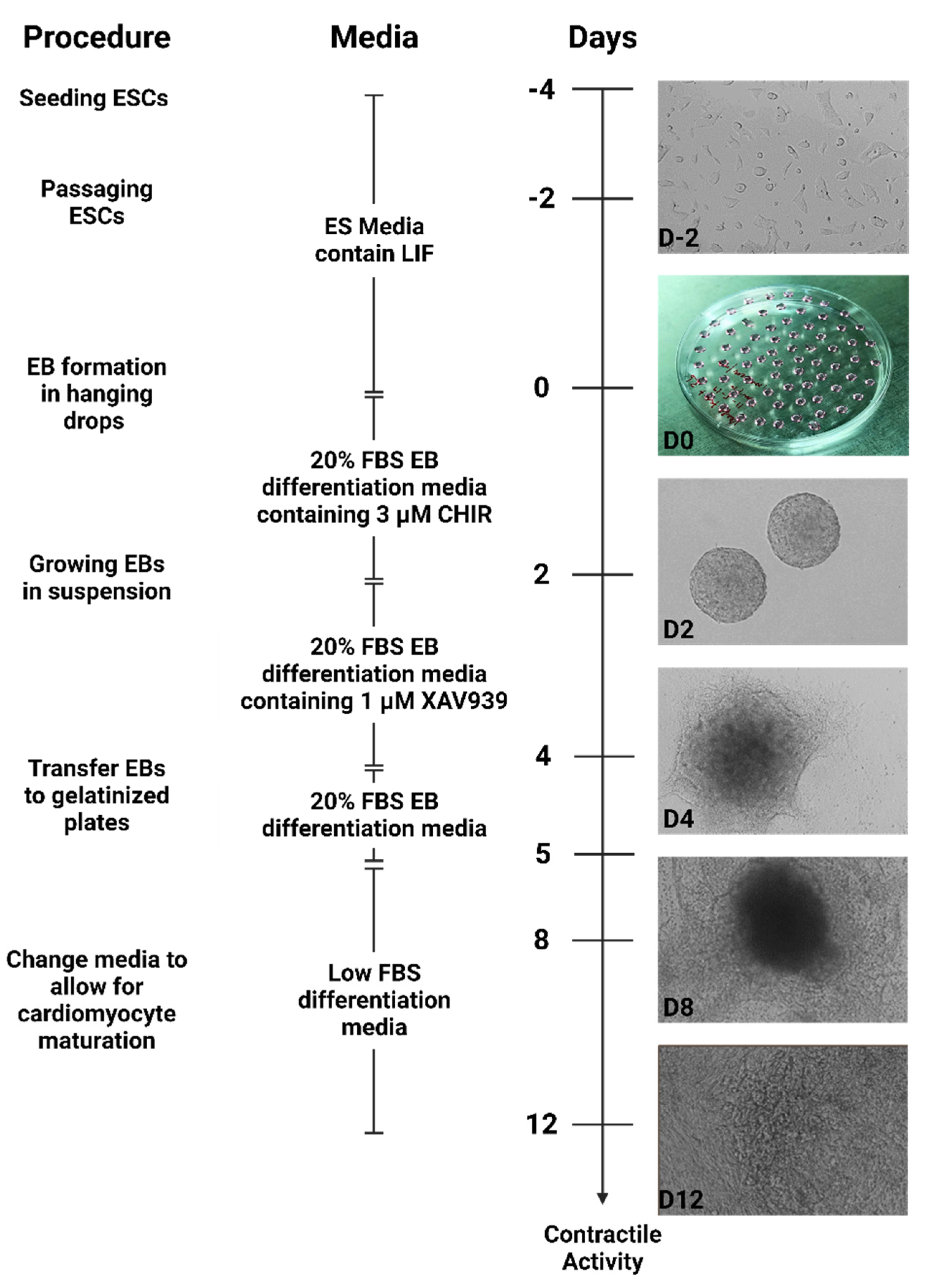 Preprints 93763 g001