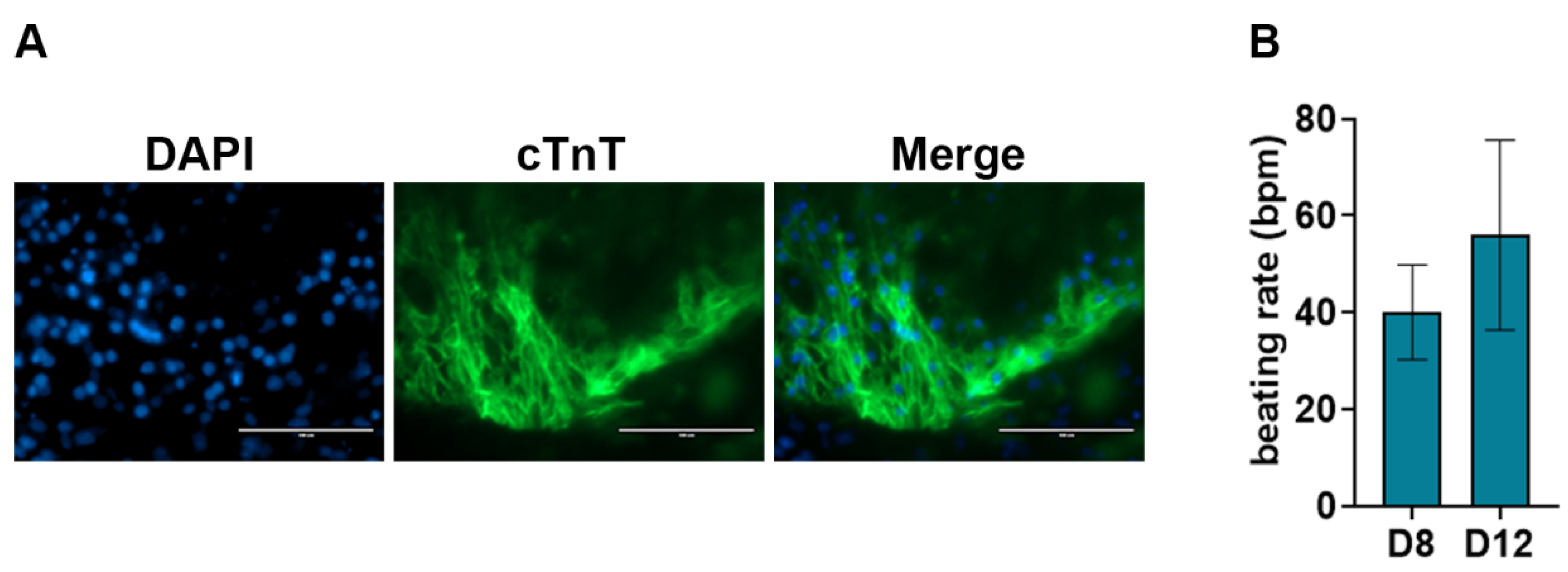 Preprints 93763 g005