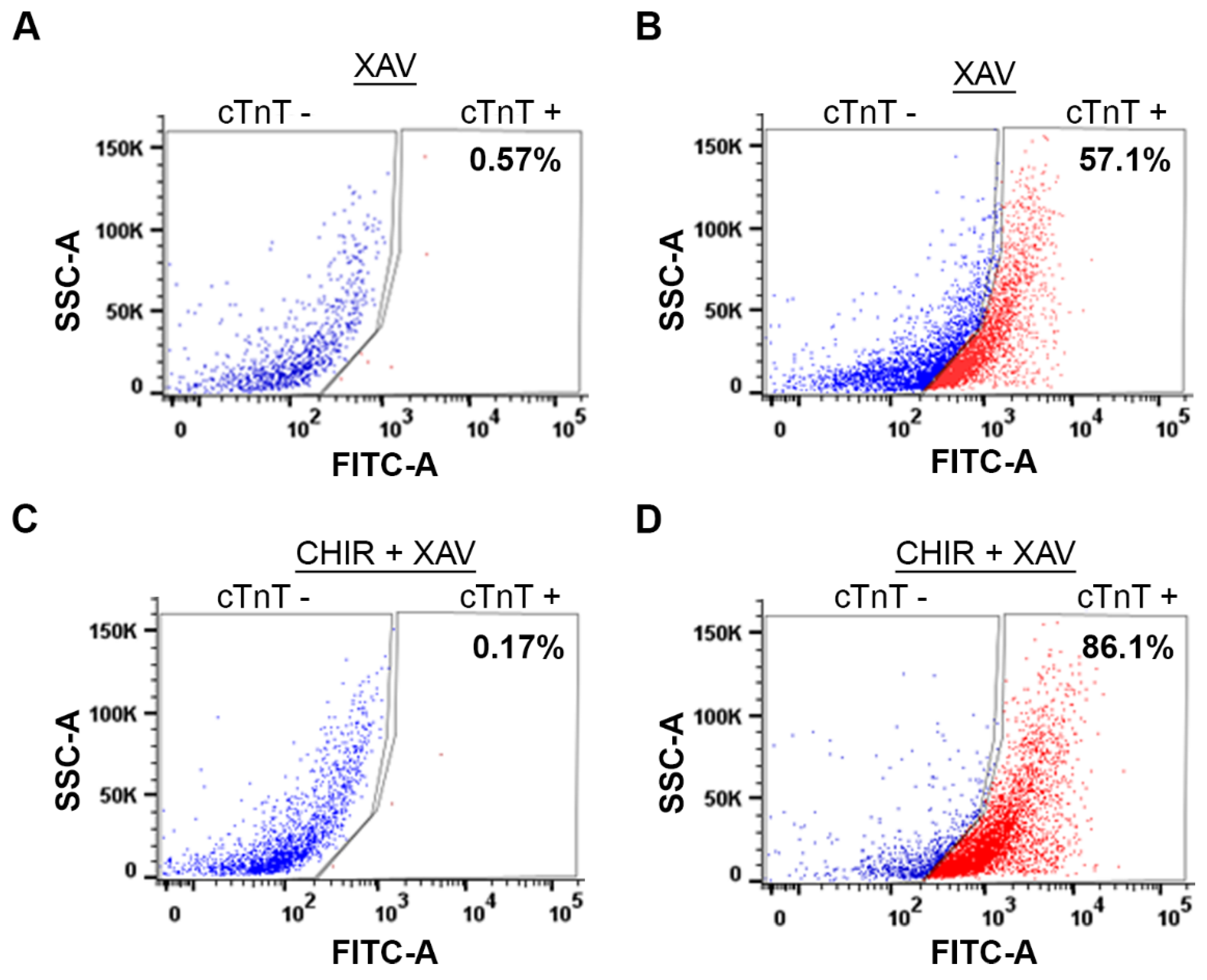 Preprints 93763 g006