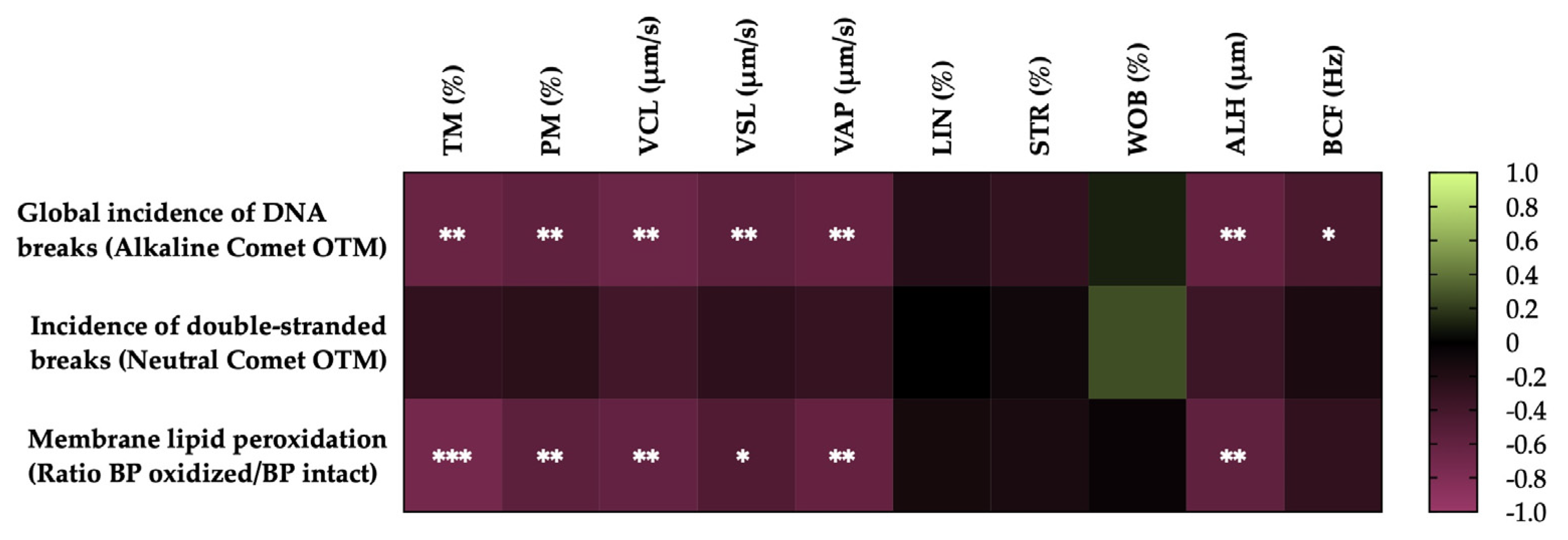 Preprints 94470 g004