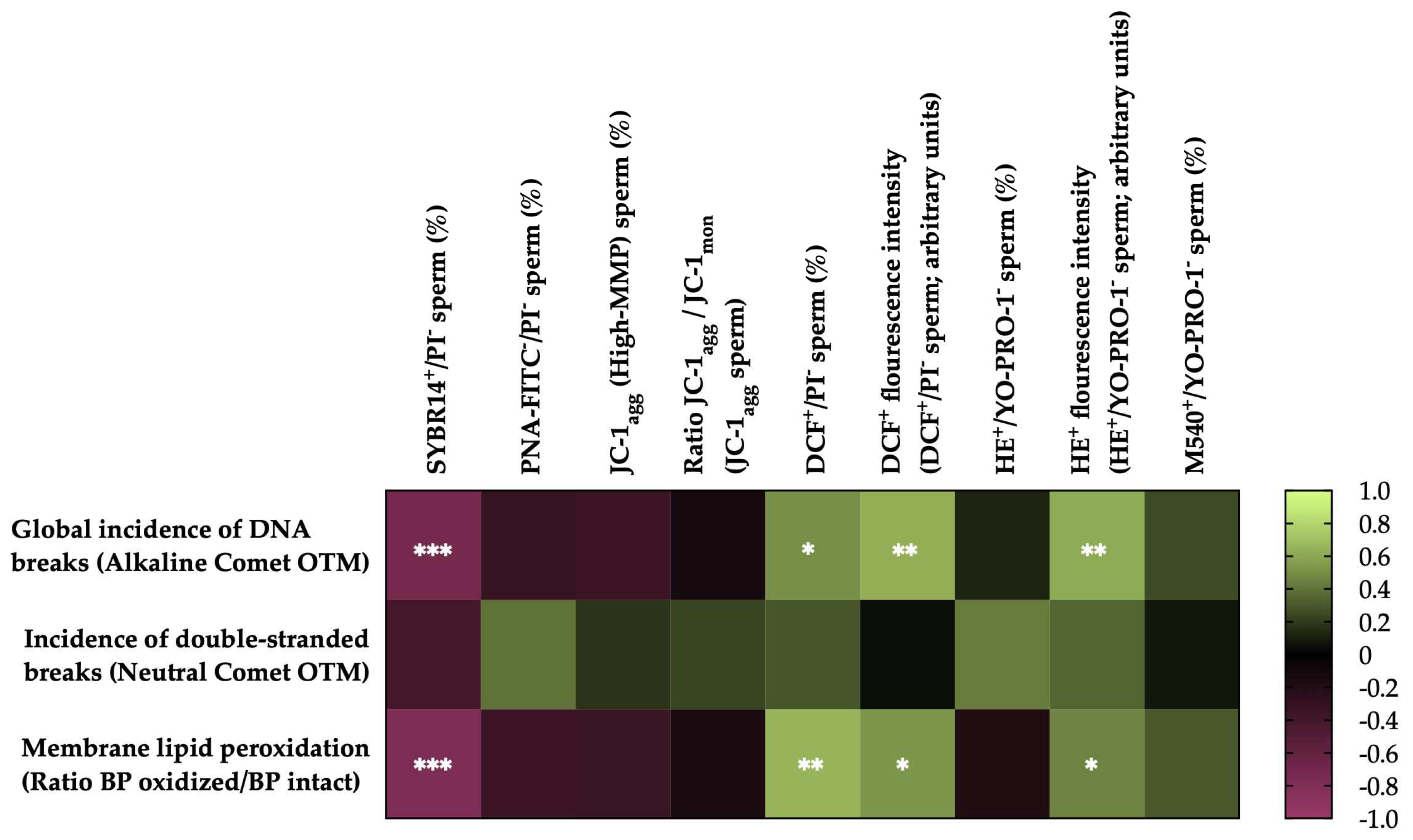 Preprints 94470 g005