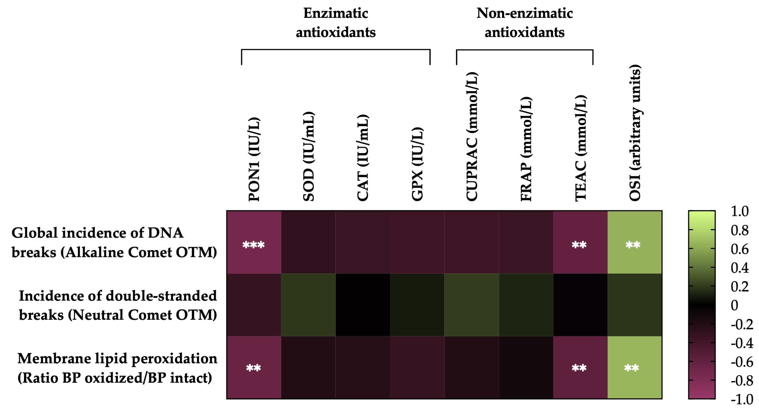 Preprints 94470 g006