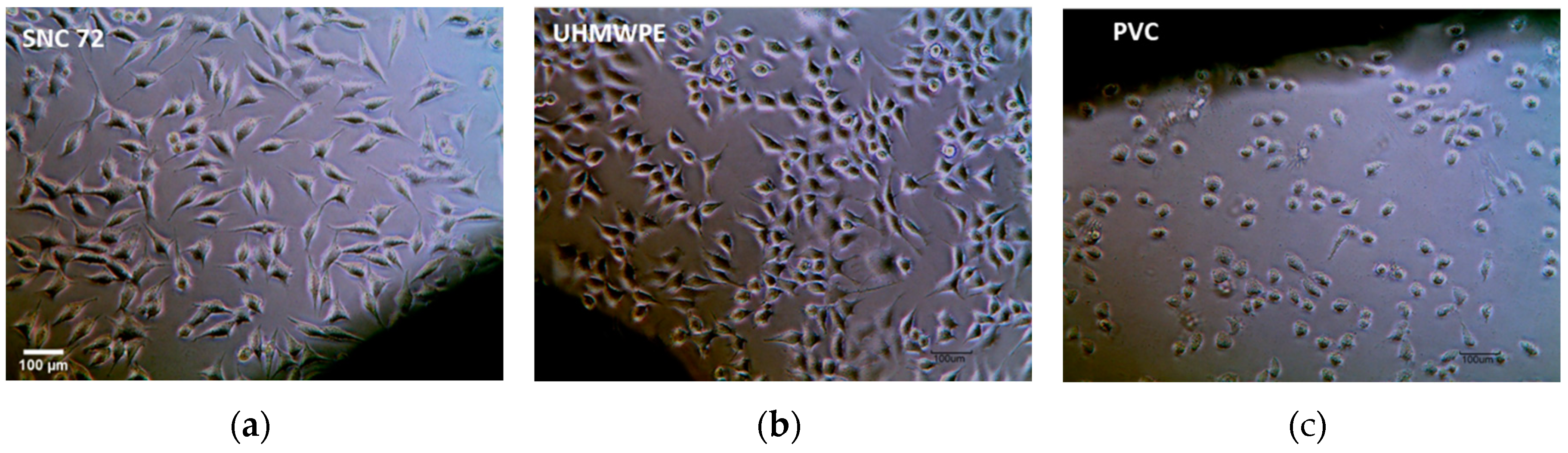 Preprints 72808 g012