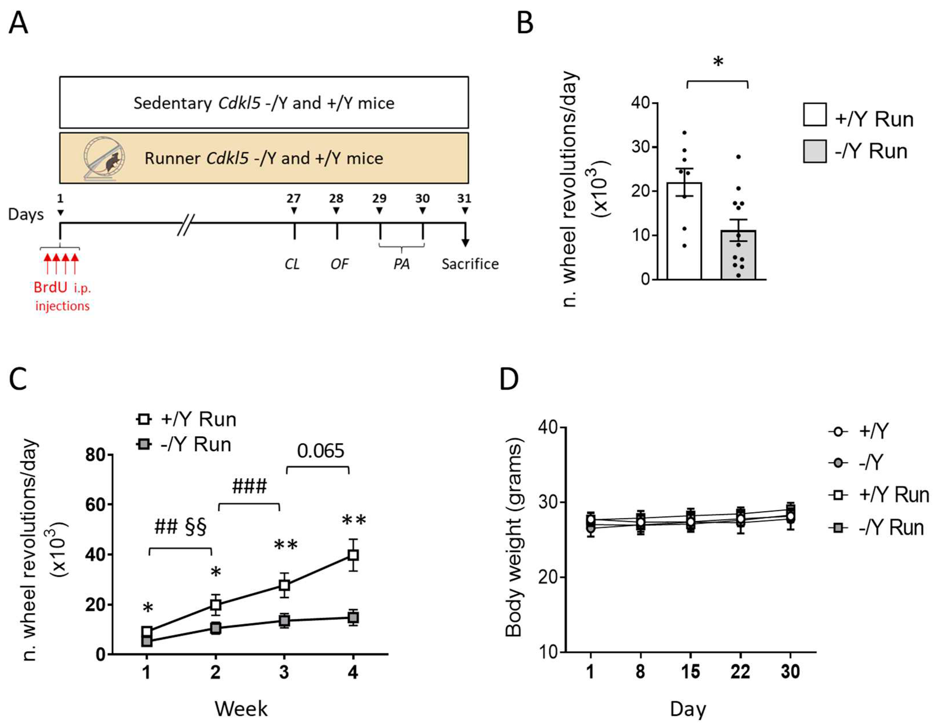 Preprints 84463 g001