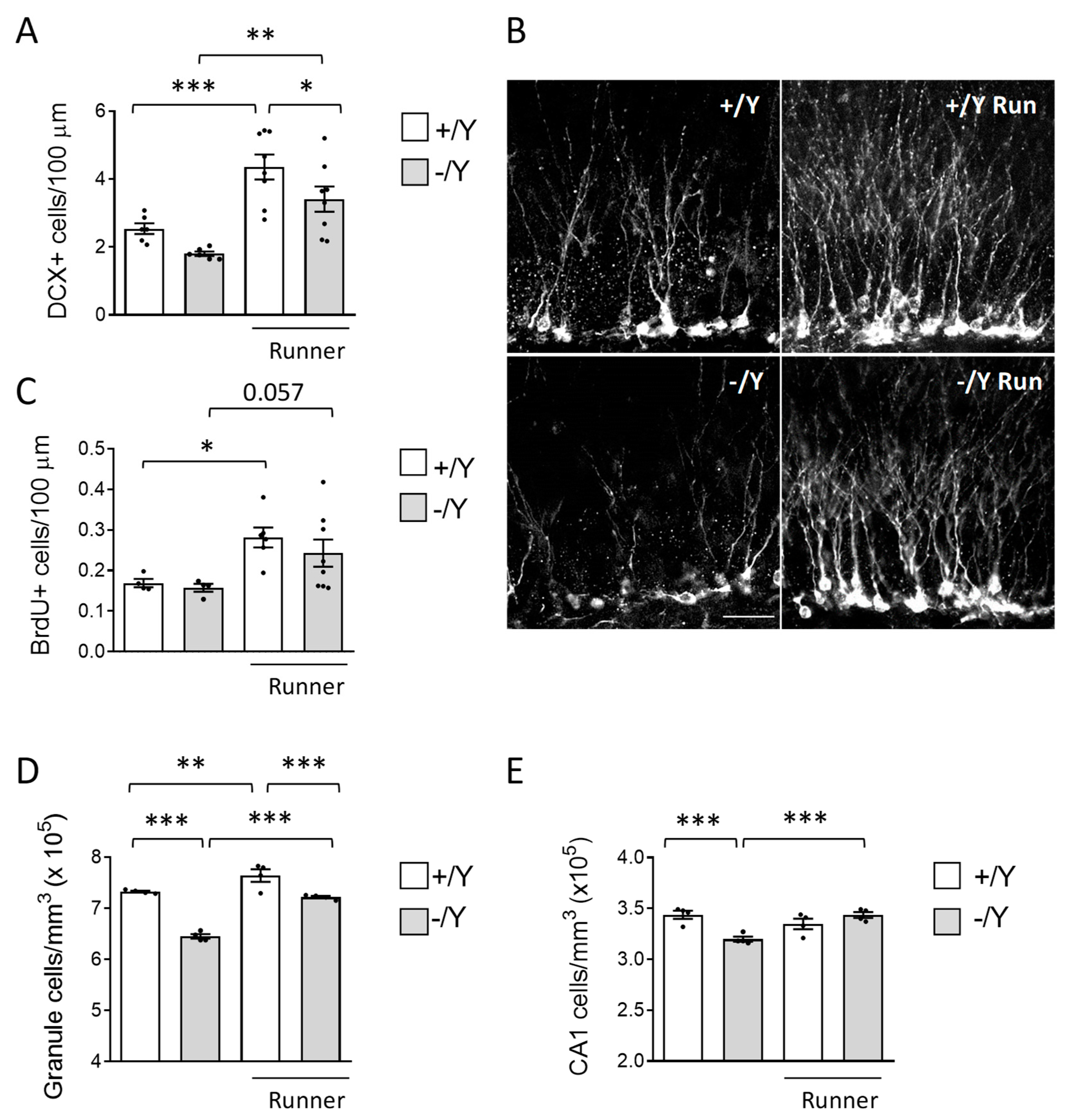 Preprints 84463 g003