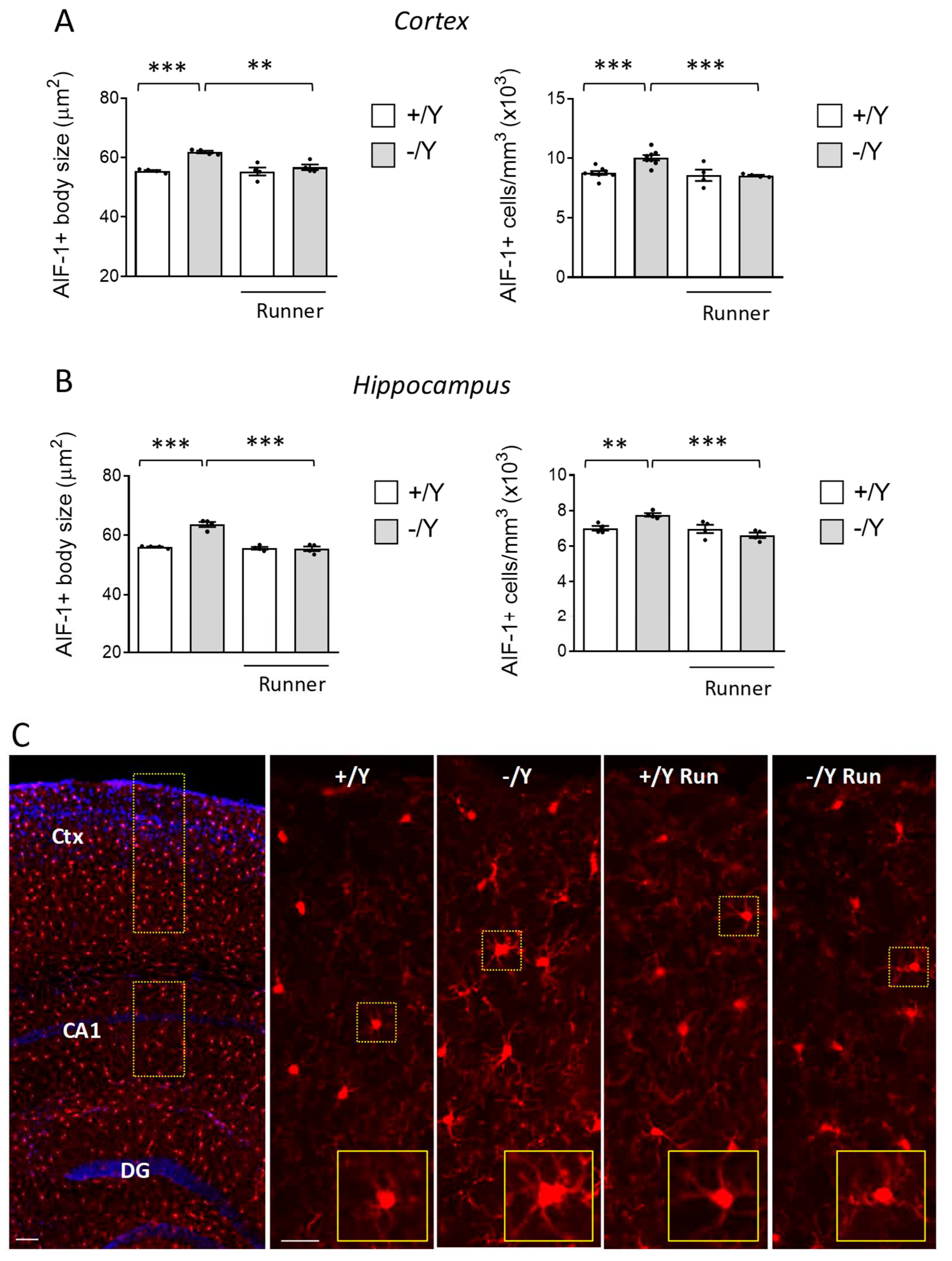 Preprints 84463 g004