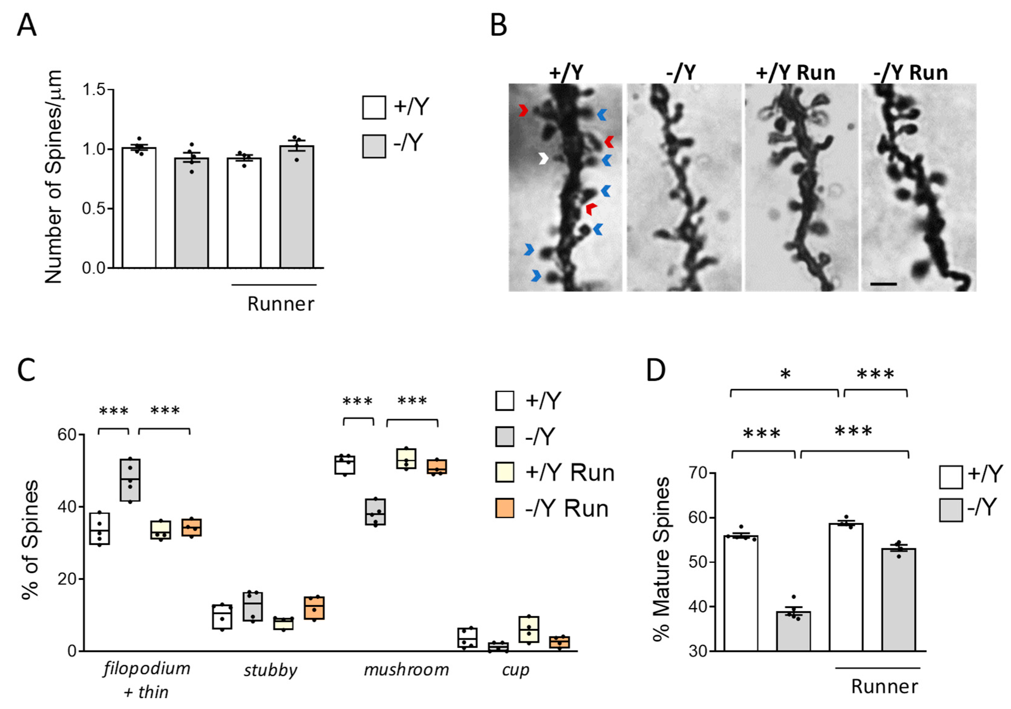 Preprints 84463 g005