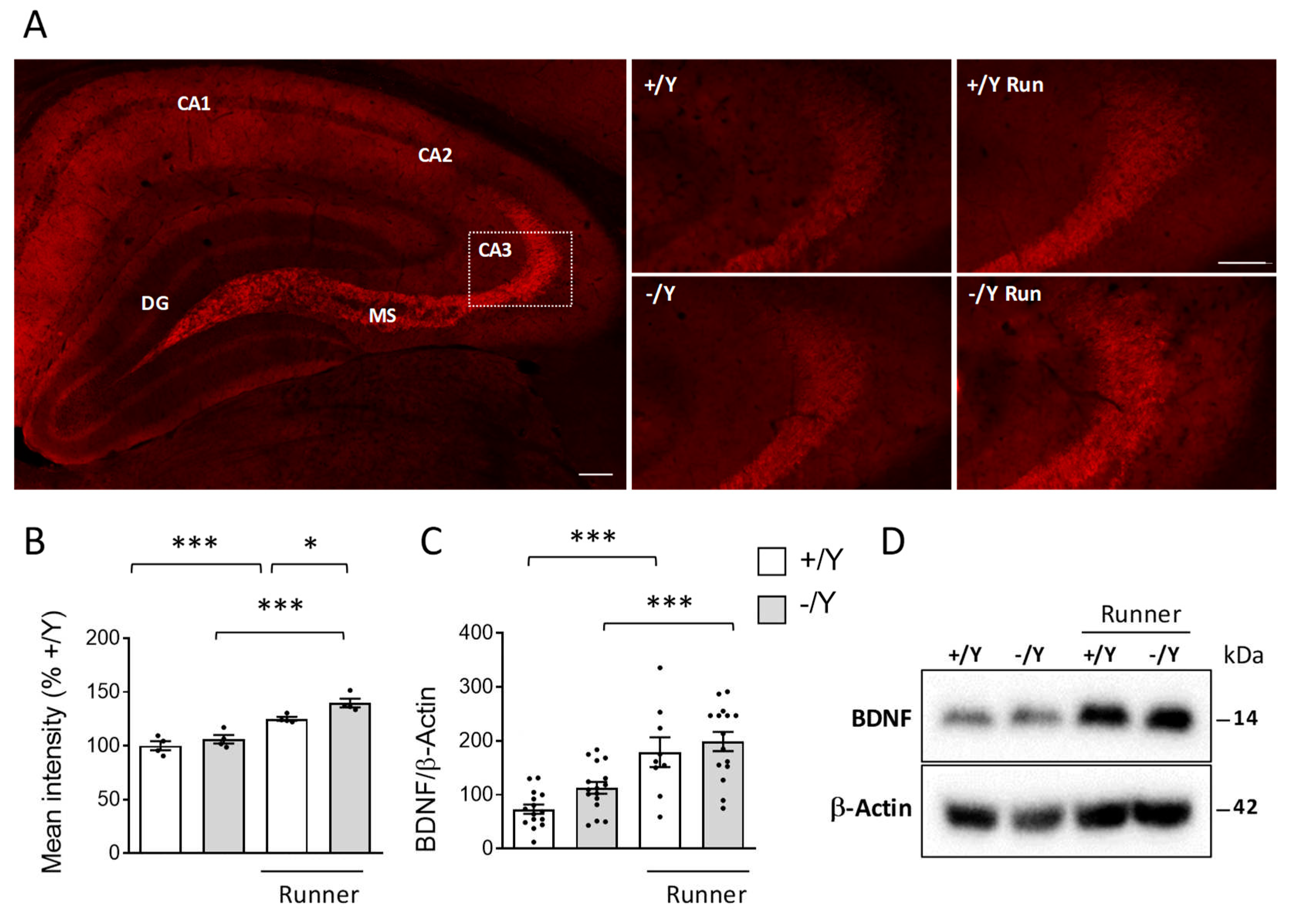 Preprints 84463 g006