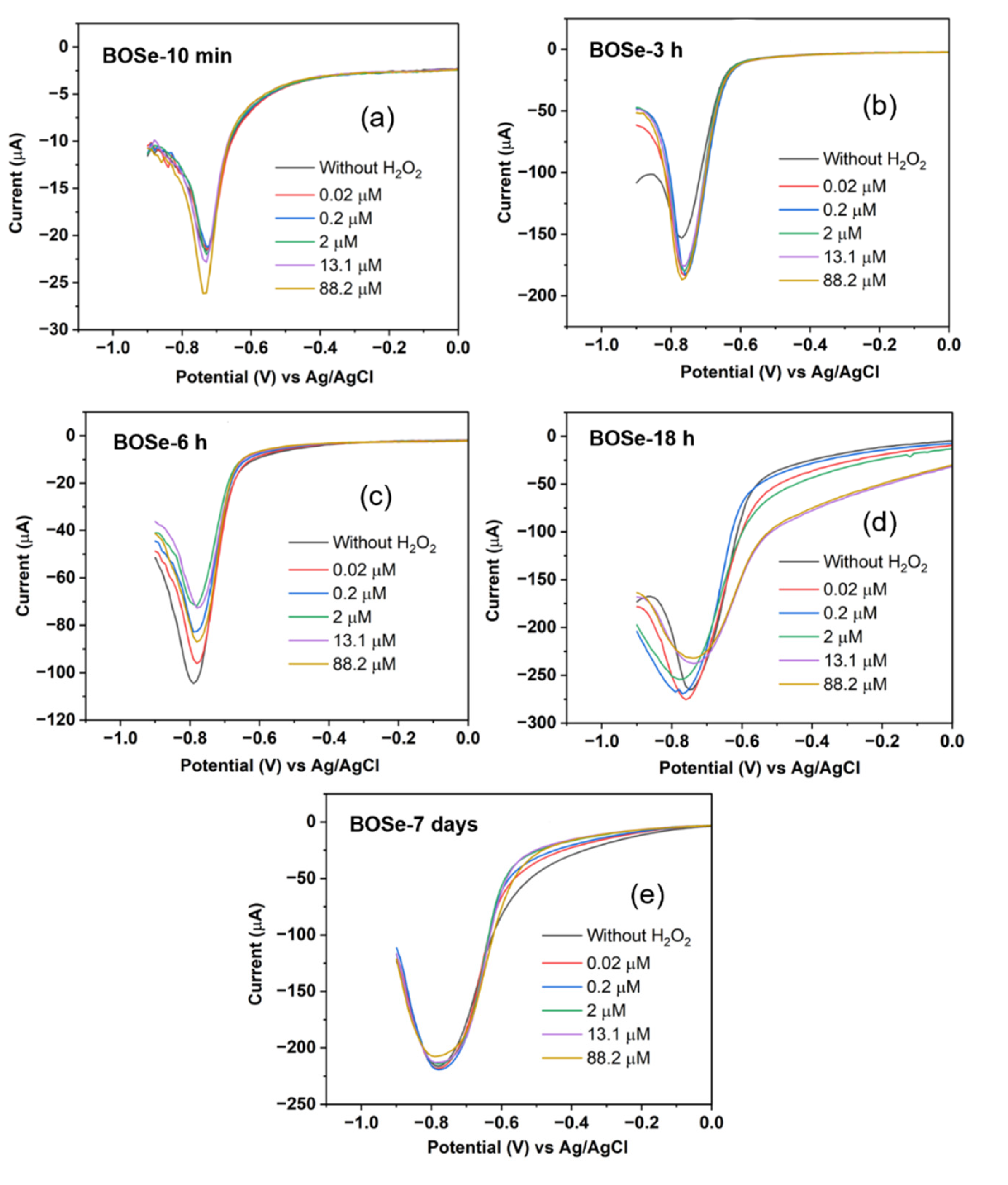 Preprints 116719 g004